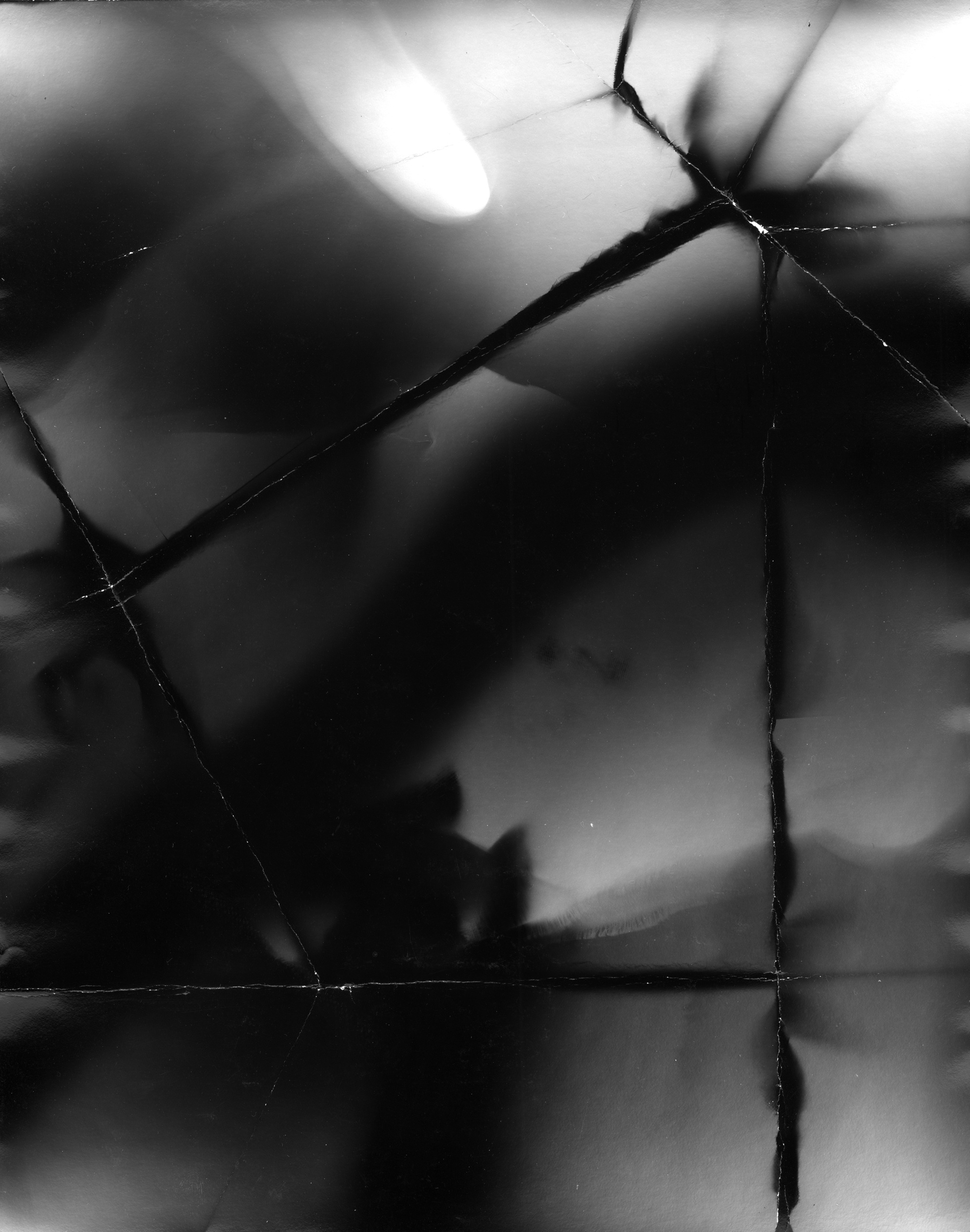 Фотограммы (2012). Художник. Фотограф