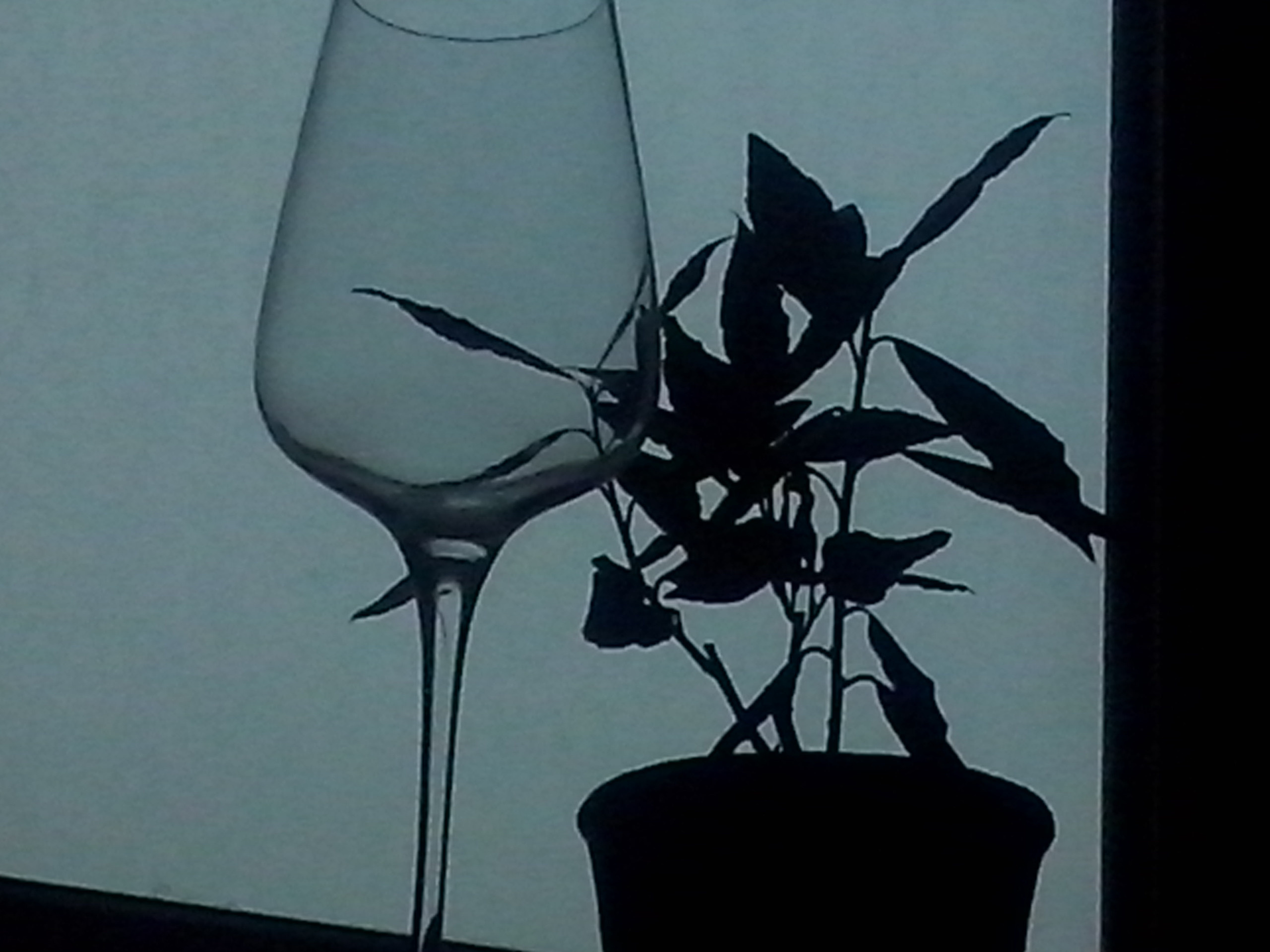 Как прекрасен этот мир — 2 (2019). Художник. Фотограф