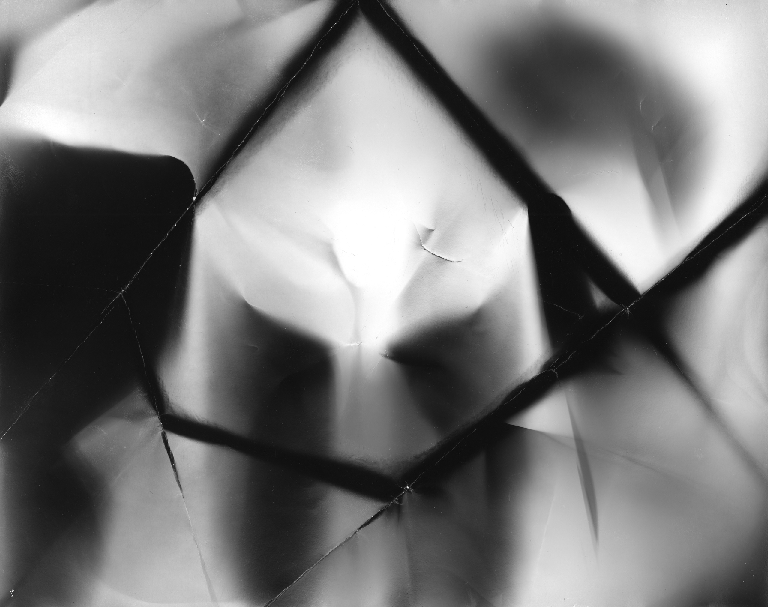 Фотограммы (2012). Художник. Фотограф