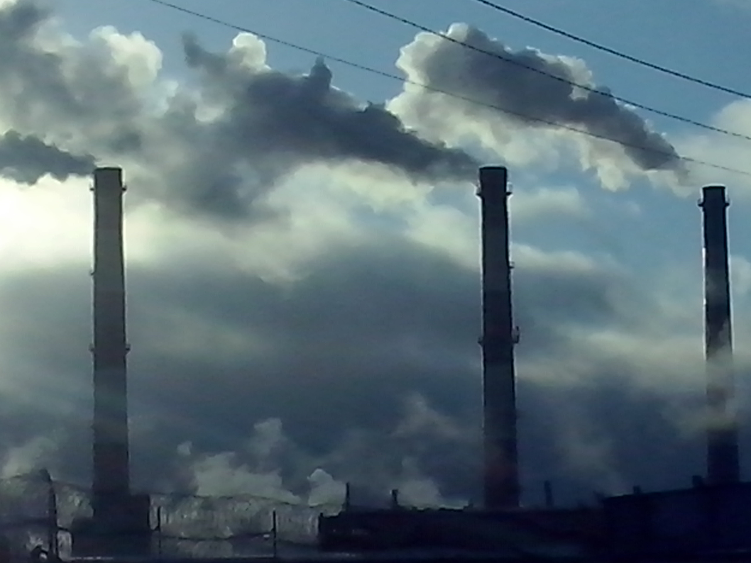 Как прекрасен этот мир — 2 (2019). Художник. Фотограф