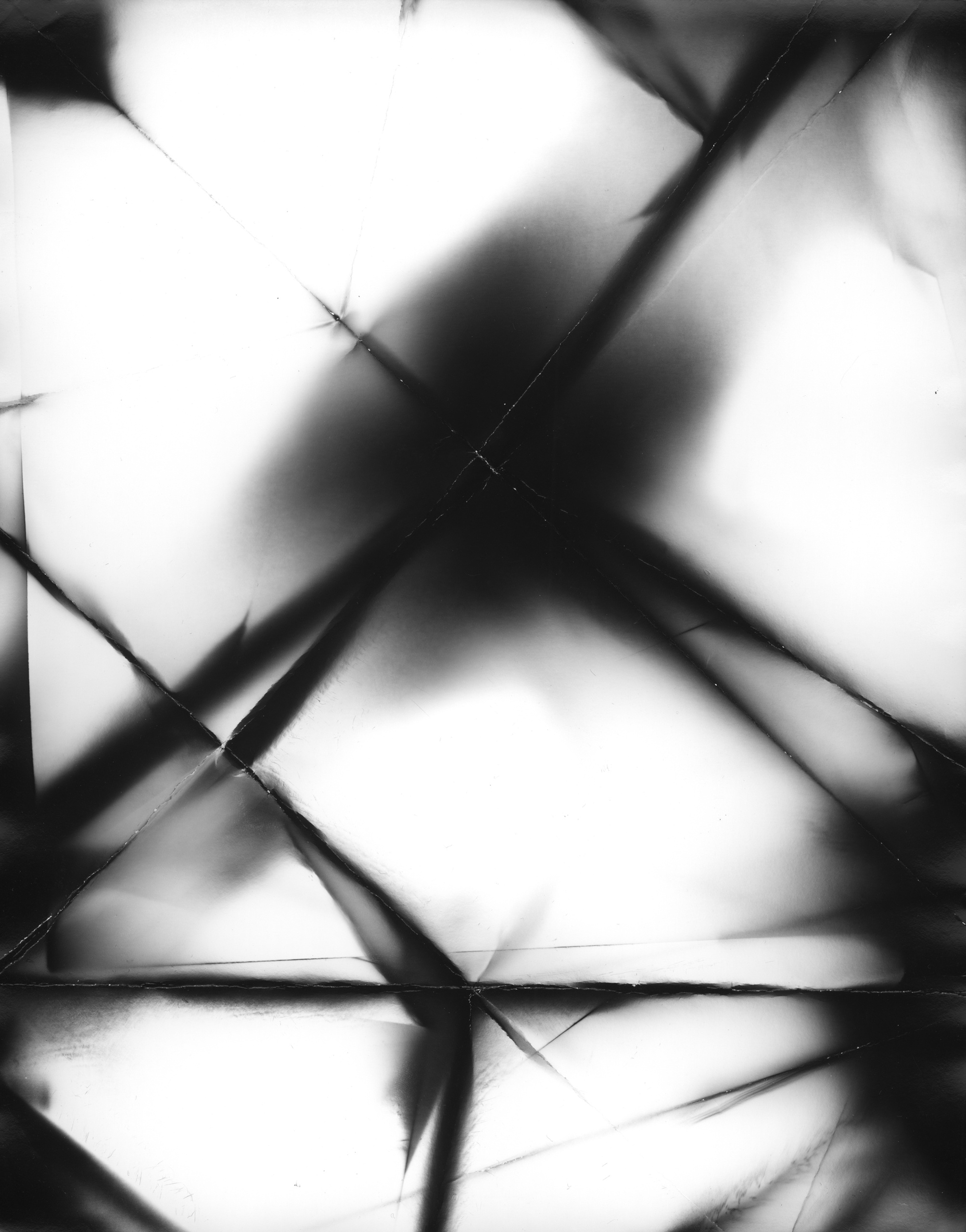 Фотограммы (2012). Художник. Фотограф