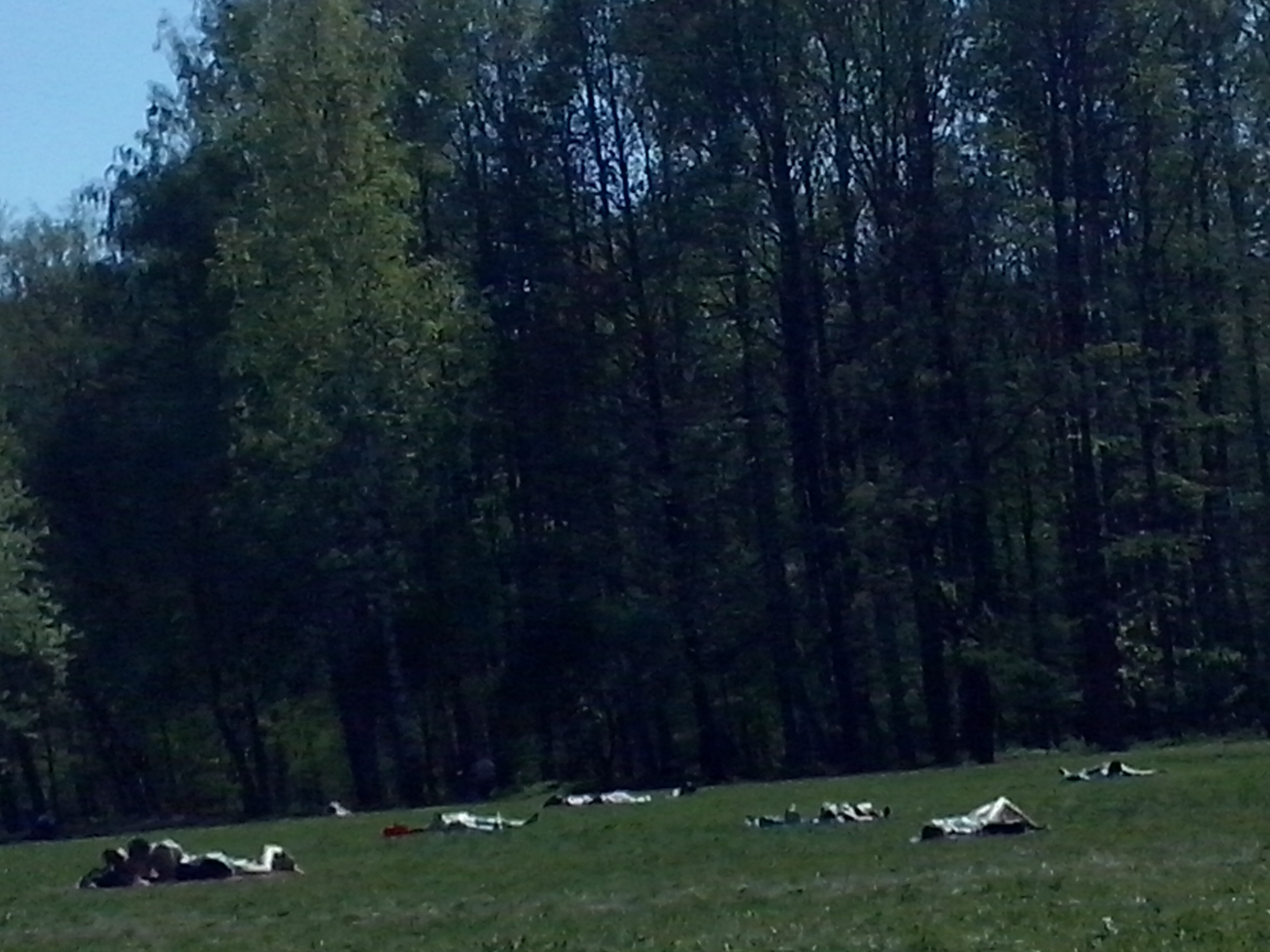 Как прекрасен этот мир — 2 (2019). Художник. Фотограф