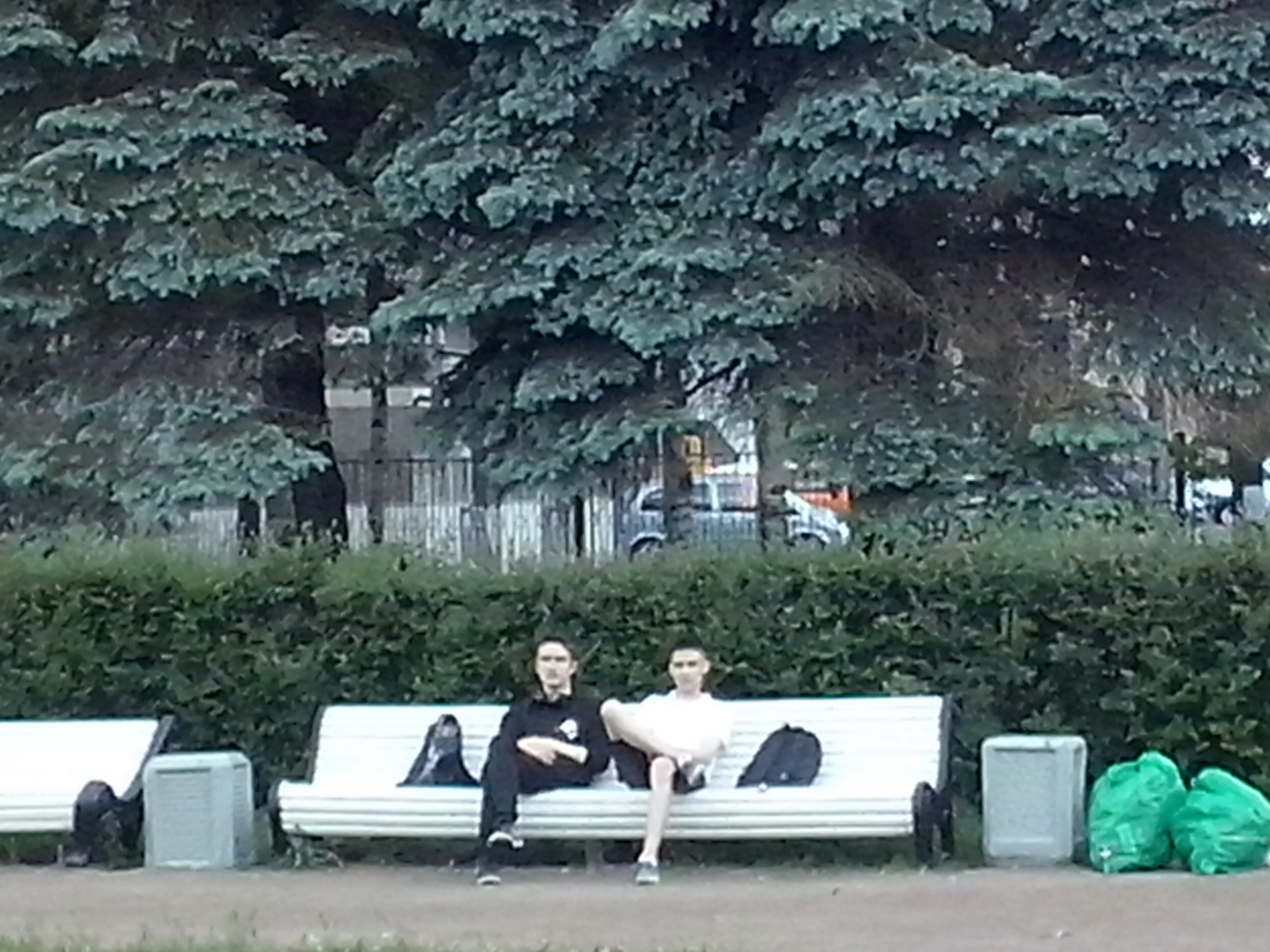 Как прекрасен этот мир — 2 (2019). Художник. Фотограф