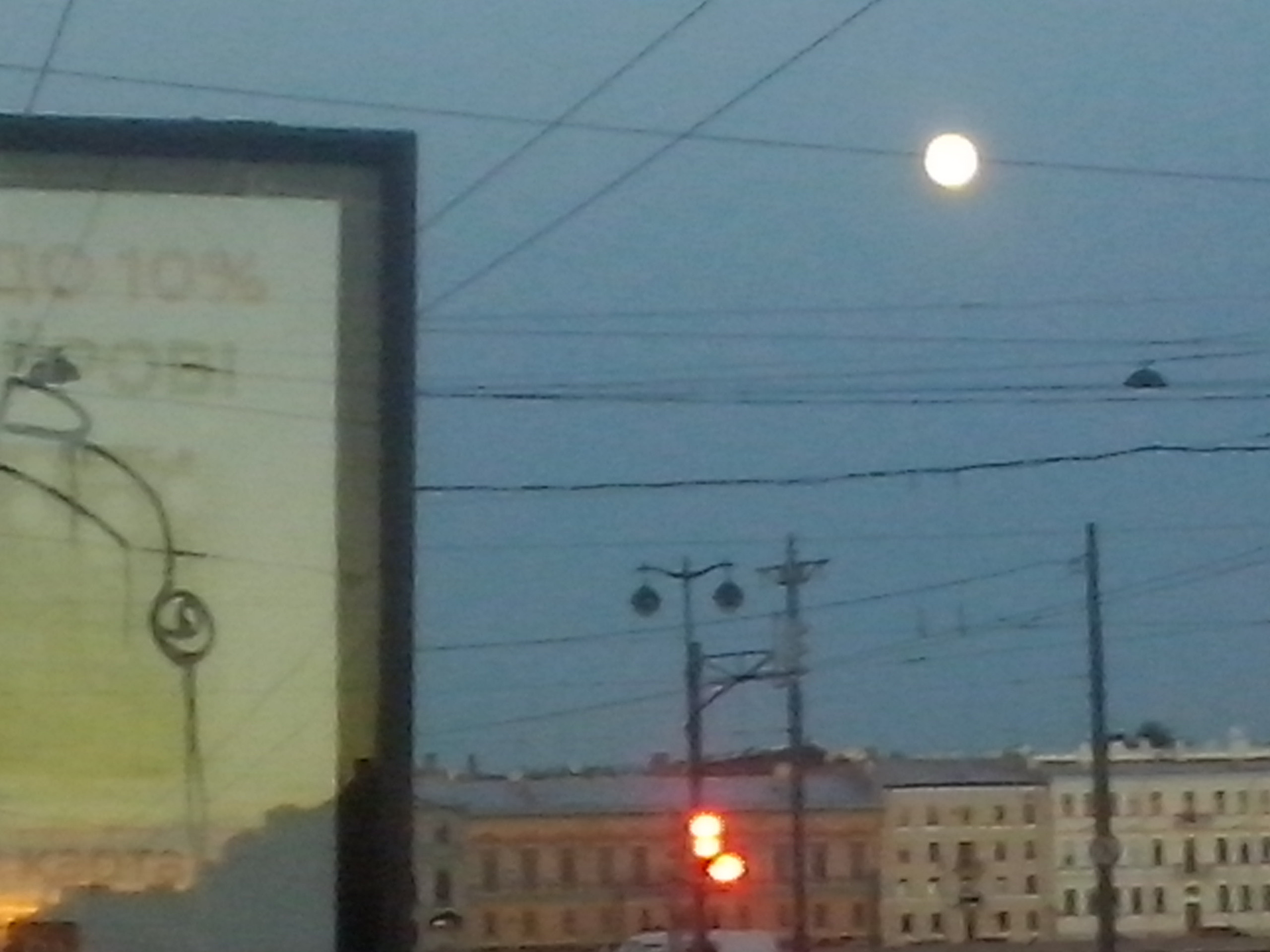 Как прекрасен этот мир — 2 (2019). Художник. Фотограф