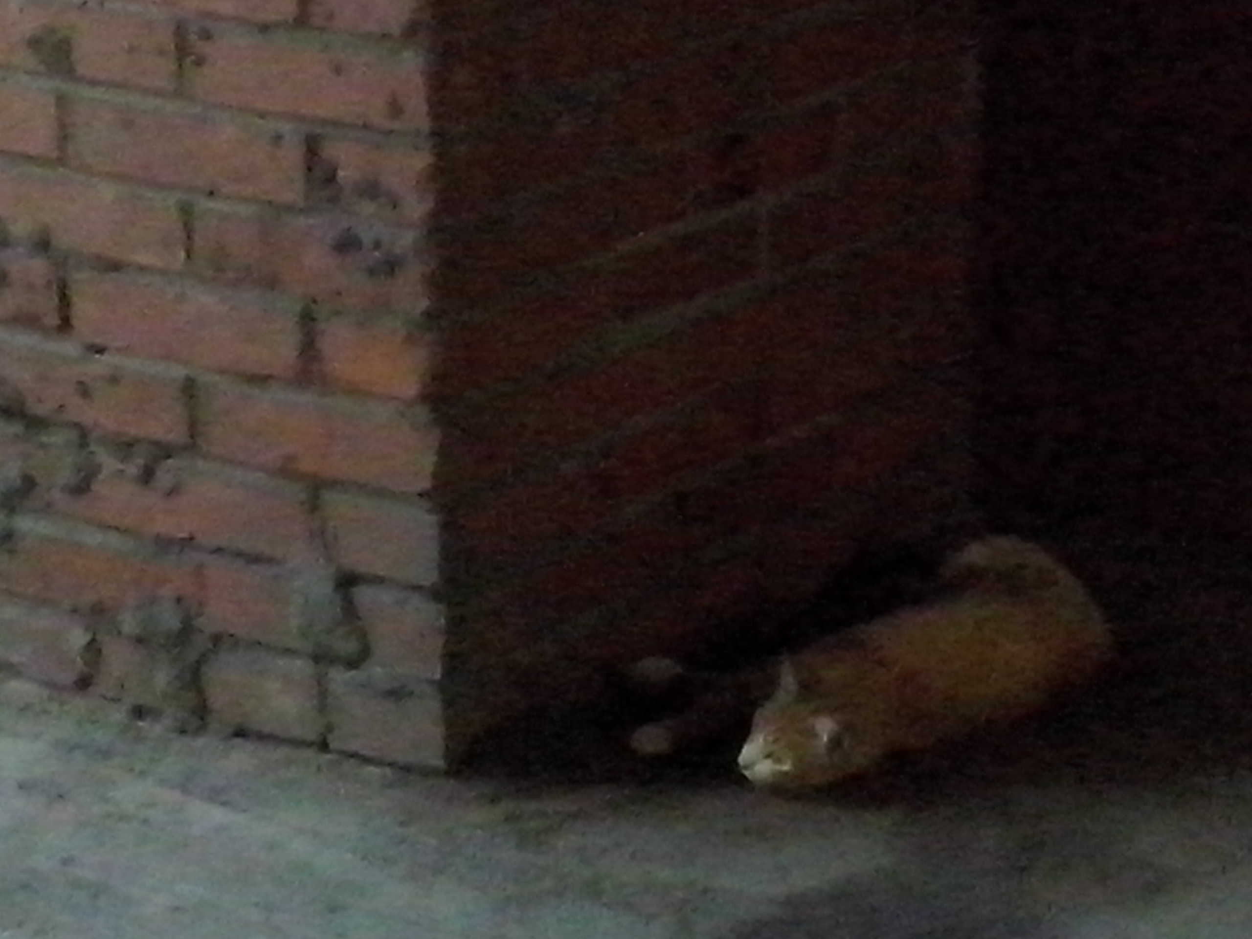 Как прекрасен этот мир — 2 (2019). Художник. Фотограф