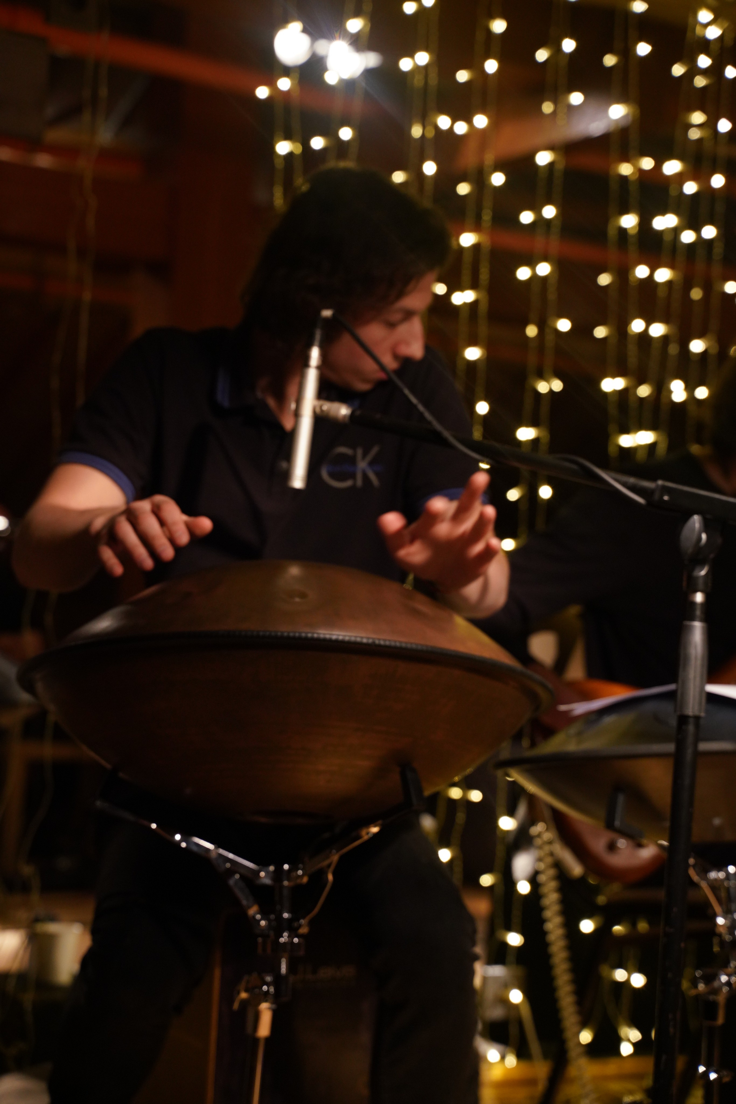 Концерт Forest jam project. Портретный и репортажный фотограф Наталья Горобец