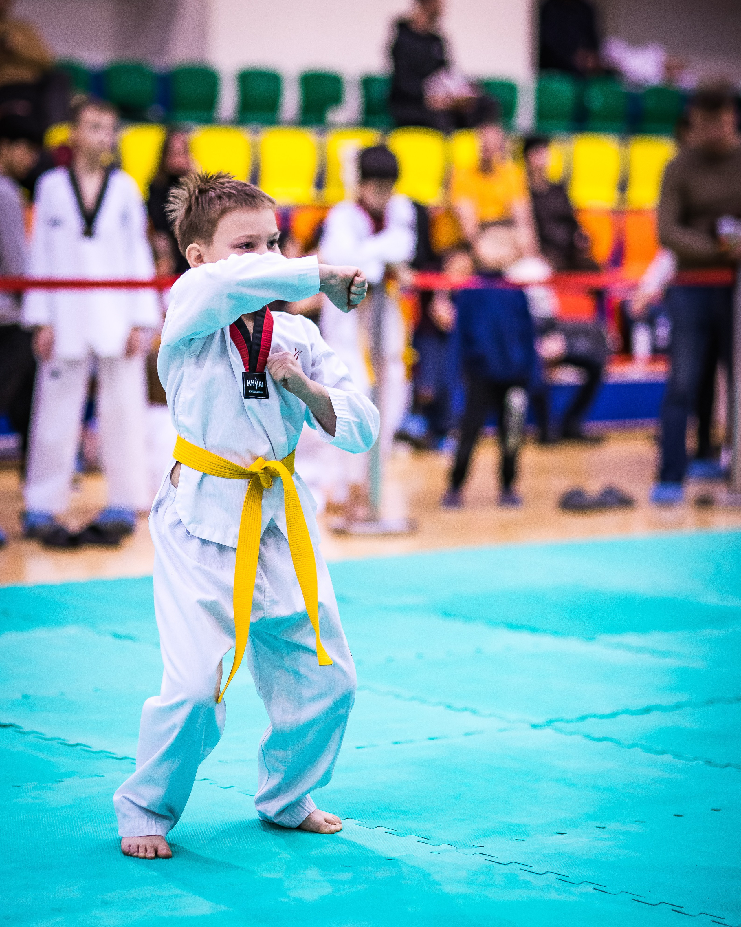 Турнир Федерации детского тхэквондо России по дисциплине ПХУМСЭ. Спортивный фотограф Максим Серегин