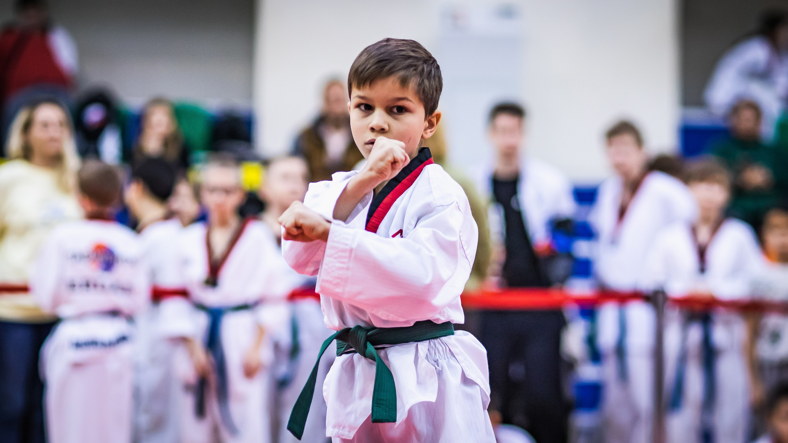 Турнир Федерации детского тхэквондо России по дисциплине ПХУМСЭ. Спортивный фотограф Максим Серегин