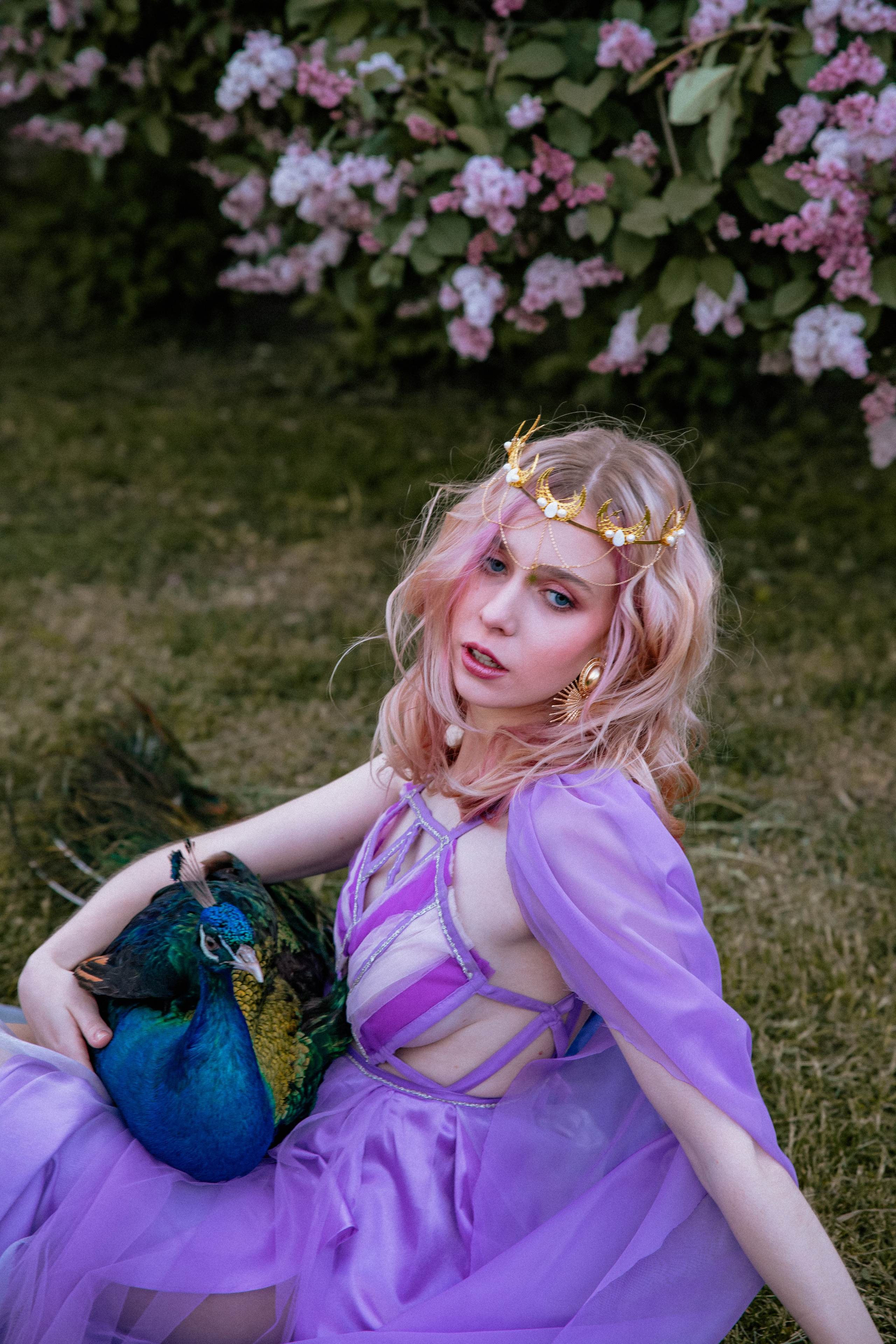 Павлин. Elena Sova — семейный и женский фотограф в Санкт-Петербурге