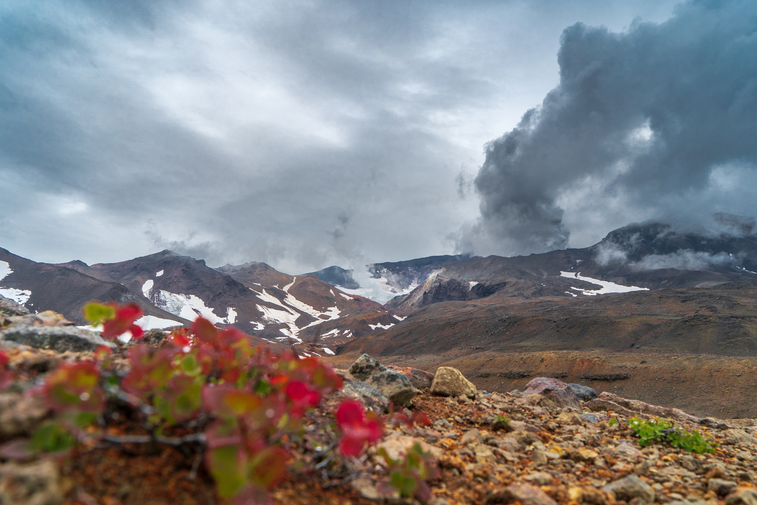 Путешествия и пейзаж. Репортажный фотограф в Красной Поляне и Сочи Павлюченко Екатерина