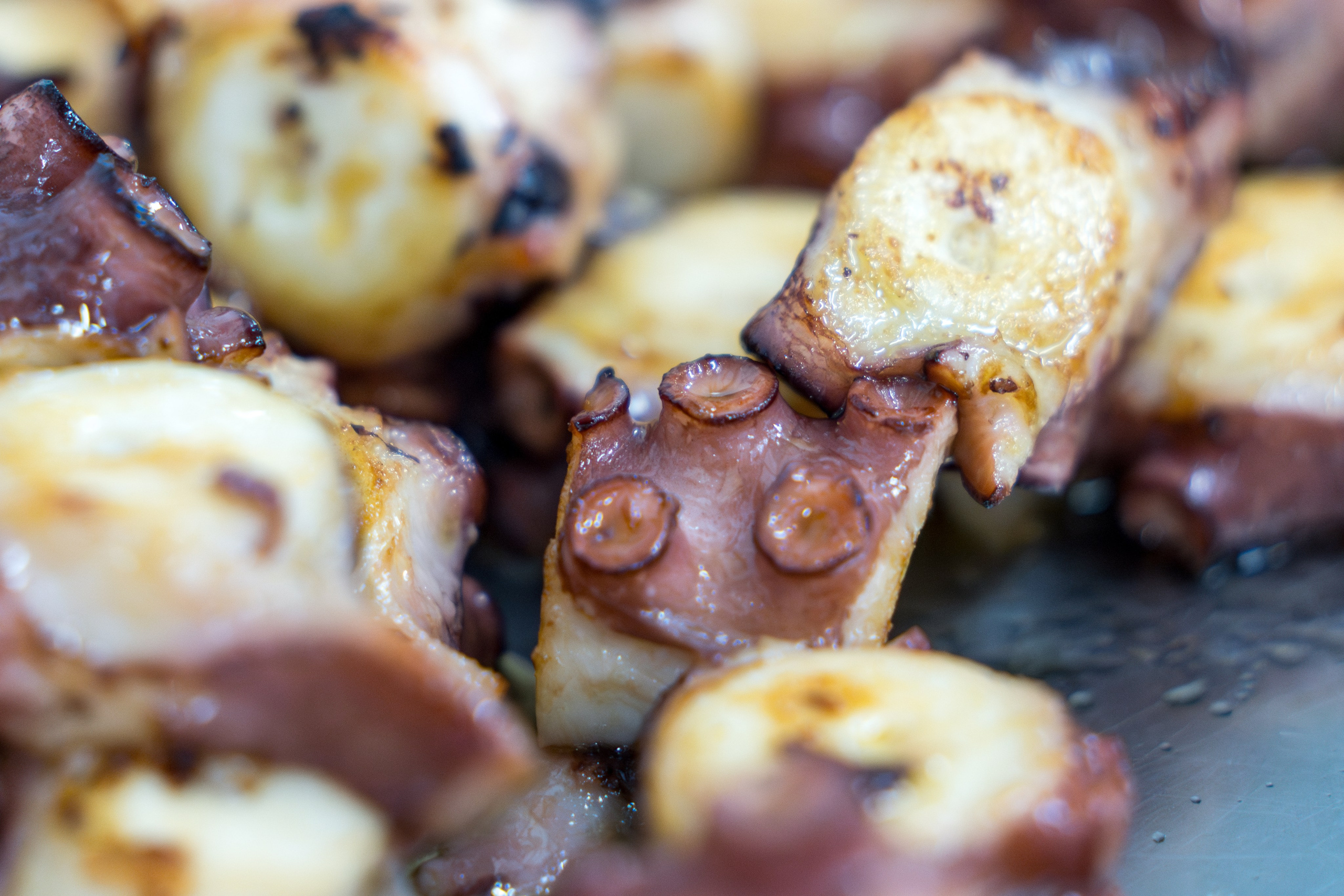 Гастрономический ужин «Лесная Италия» с Мирко Дзаго в ресторане RiverSide. Репортажный фотограф в Красной Поляне и Сочи Павлюченко Екатерина