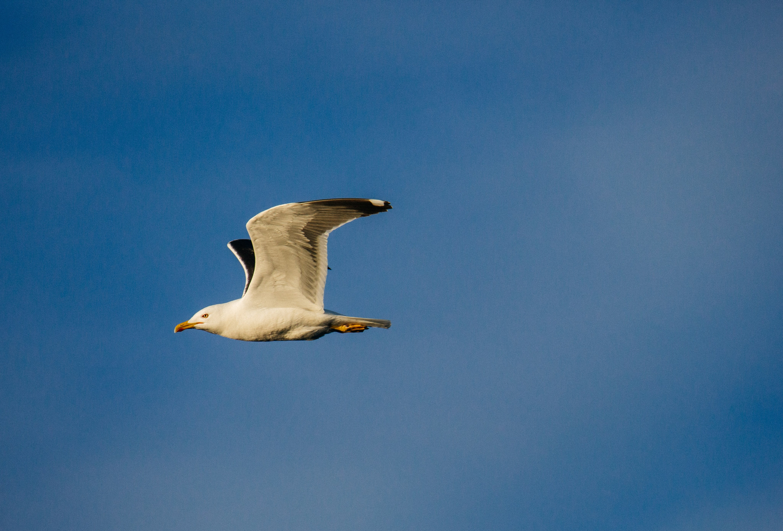 ЭТНОПАРК ГЕОГРАФИКА. Создание контента | Фото | Видеосъемка | Александр Ярков