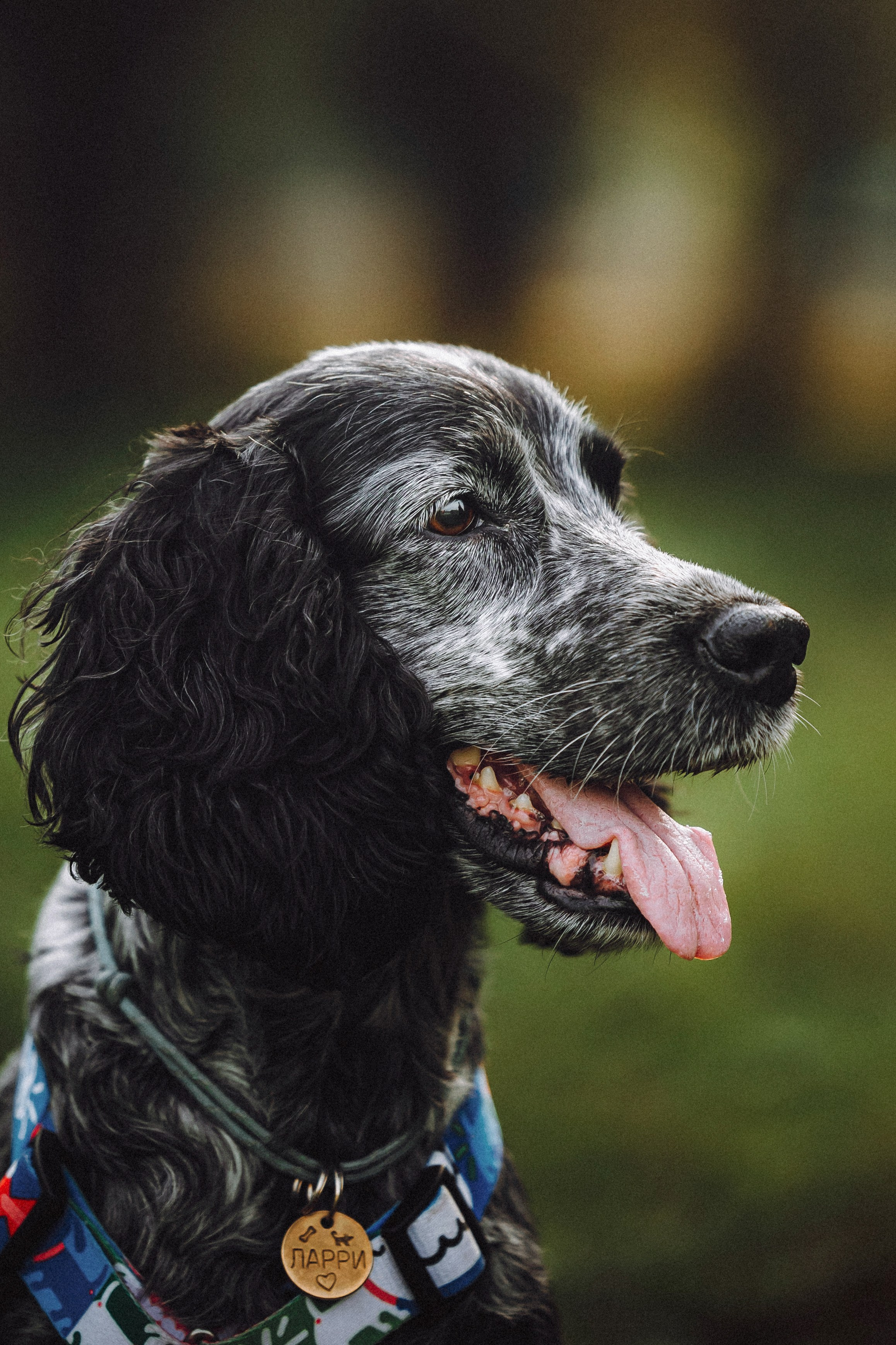 Маша и Ларри