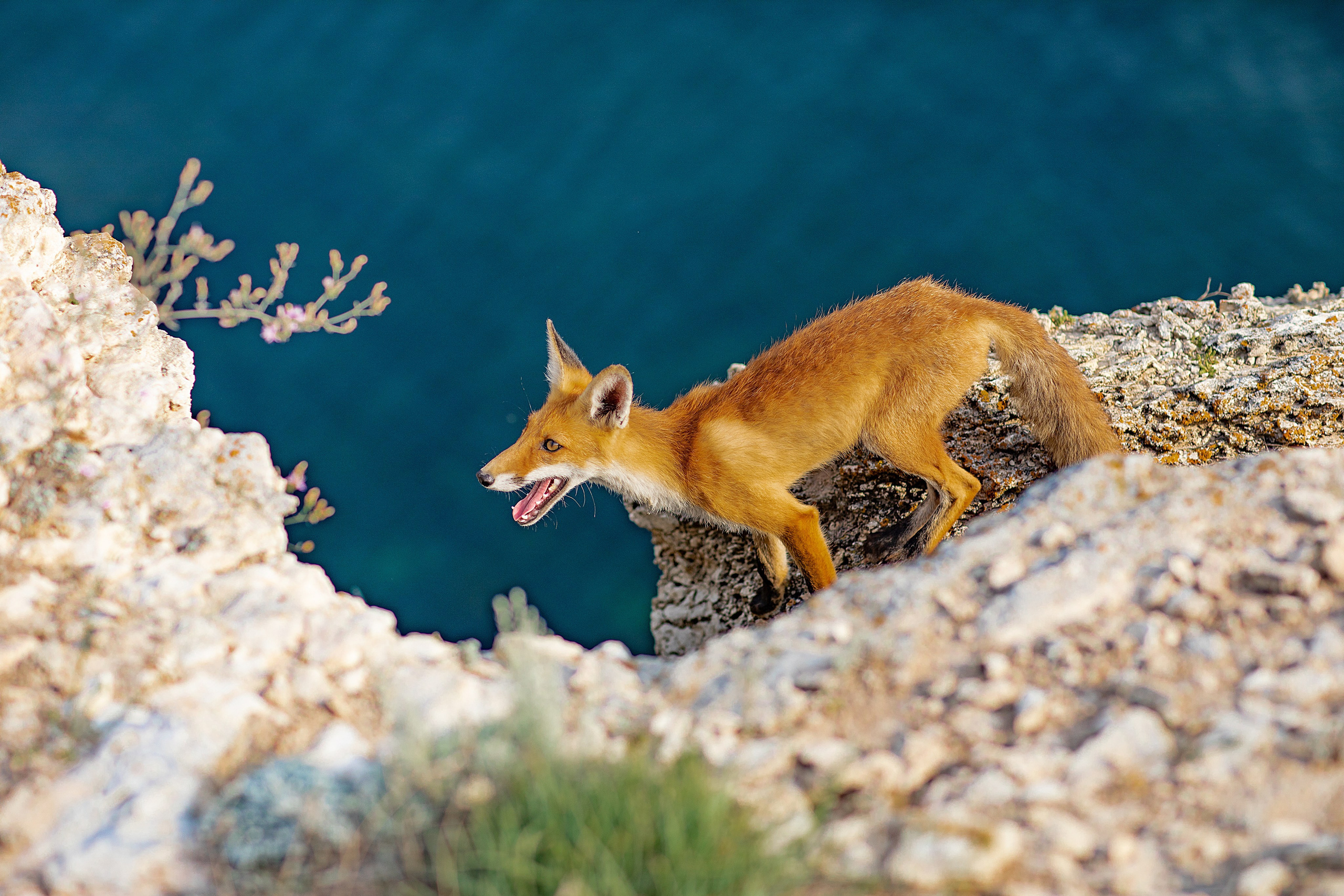 Фотограф Севастополь/Крым Светлана Евтушенко