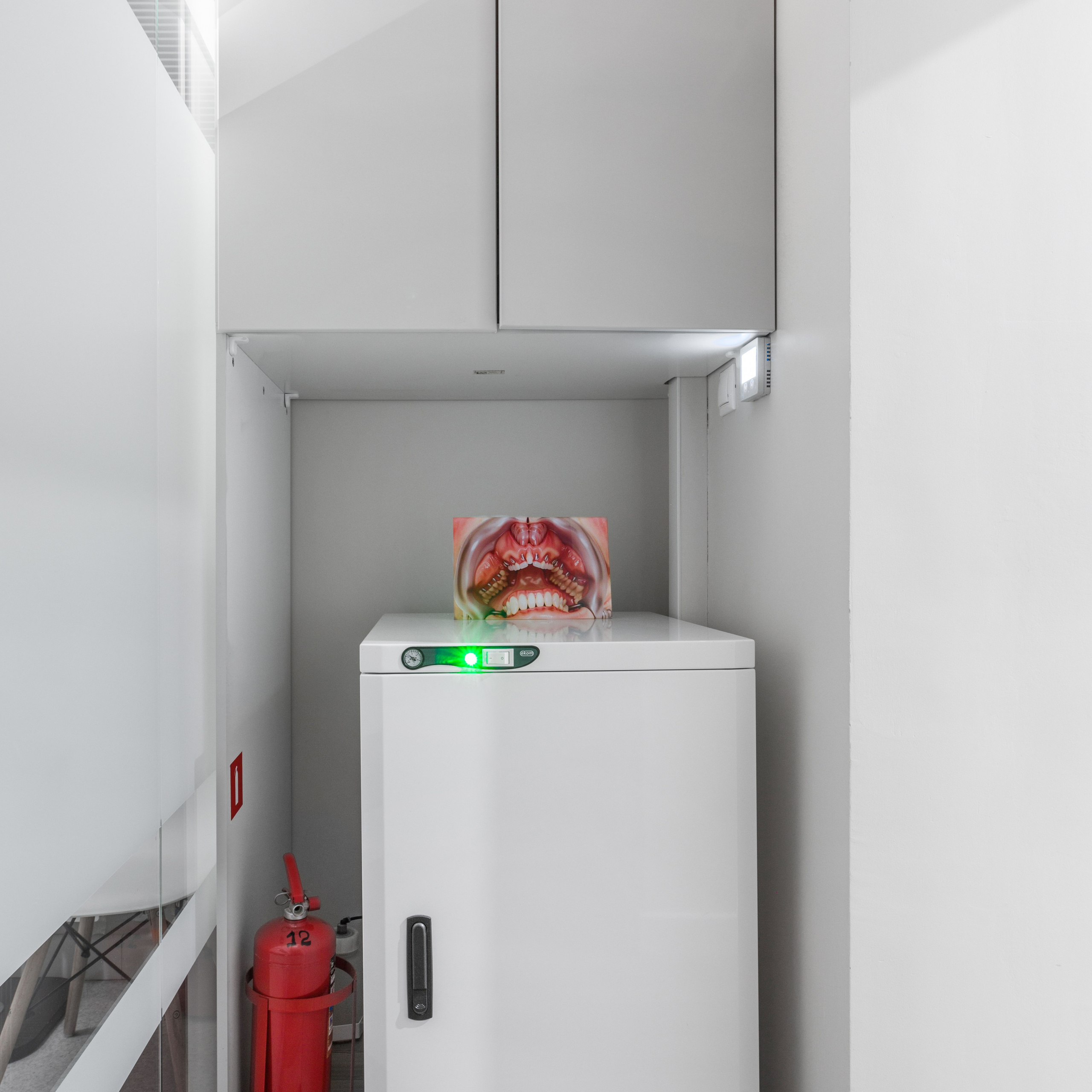 Variations of grin. Nika Peshekhonova Contemporary Artist