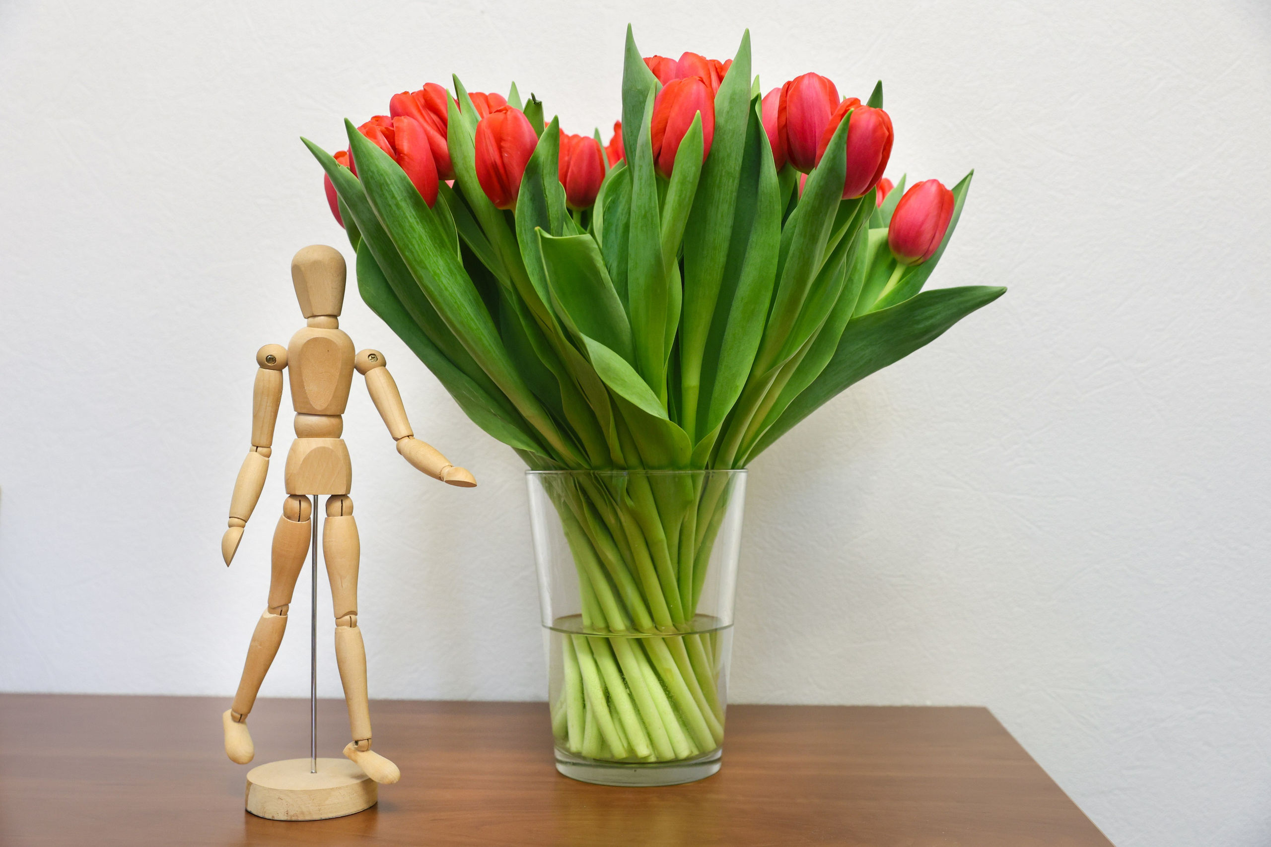 Институт психотерапии «Гармония». Фотограф Дарья Попова