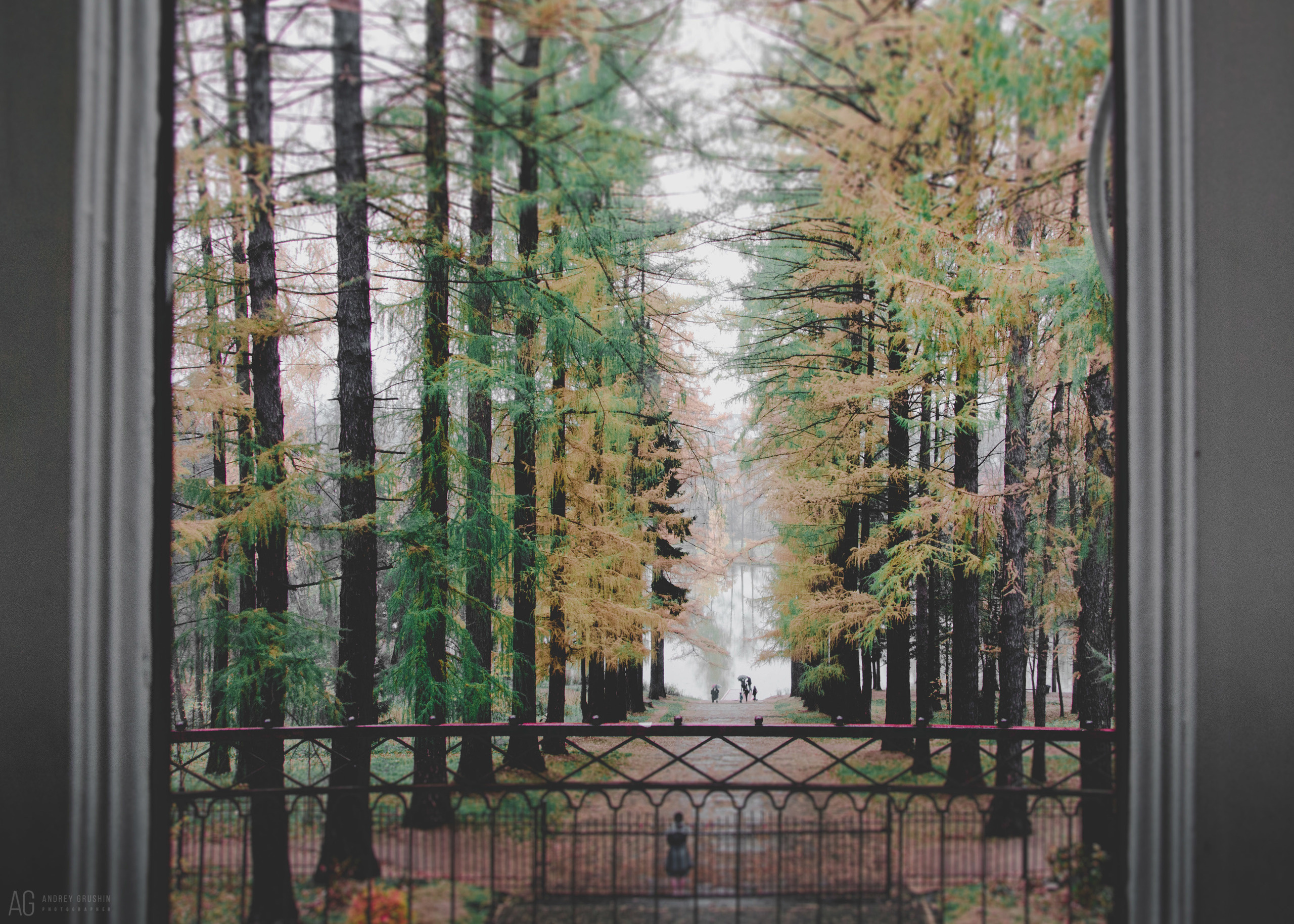 Середниково. Фотограф Андрей Грушин