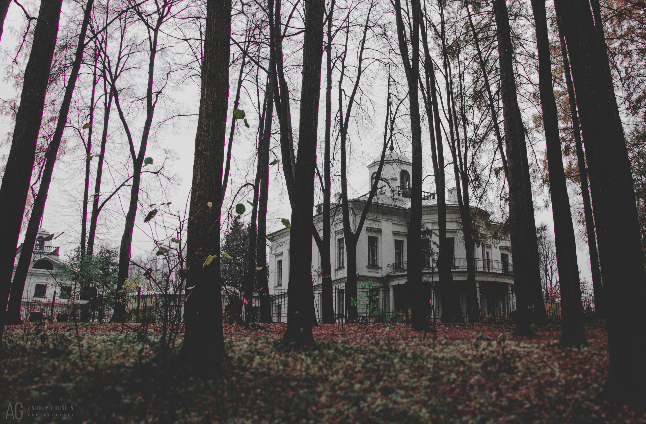 Середниково. Фотограф Андрей Грушин