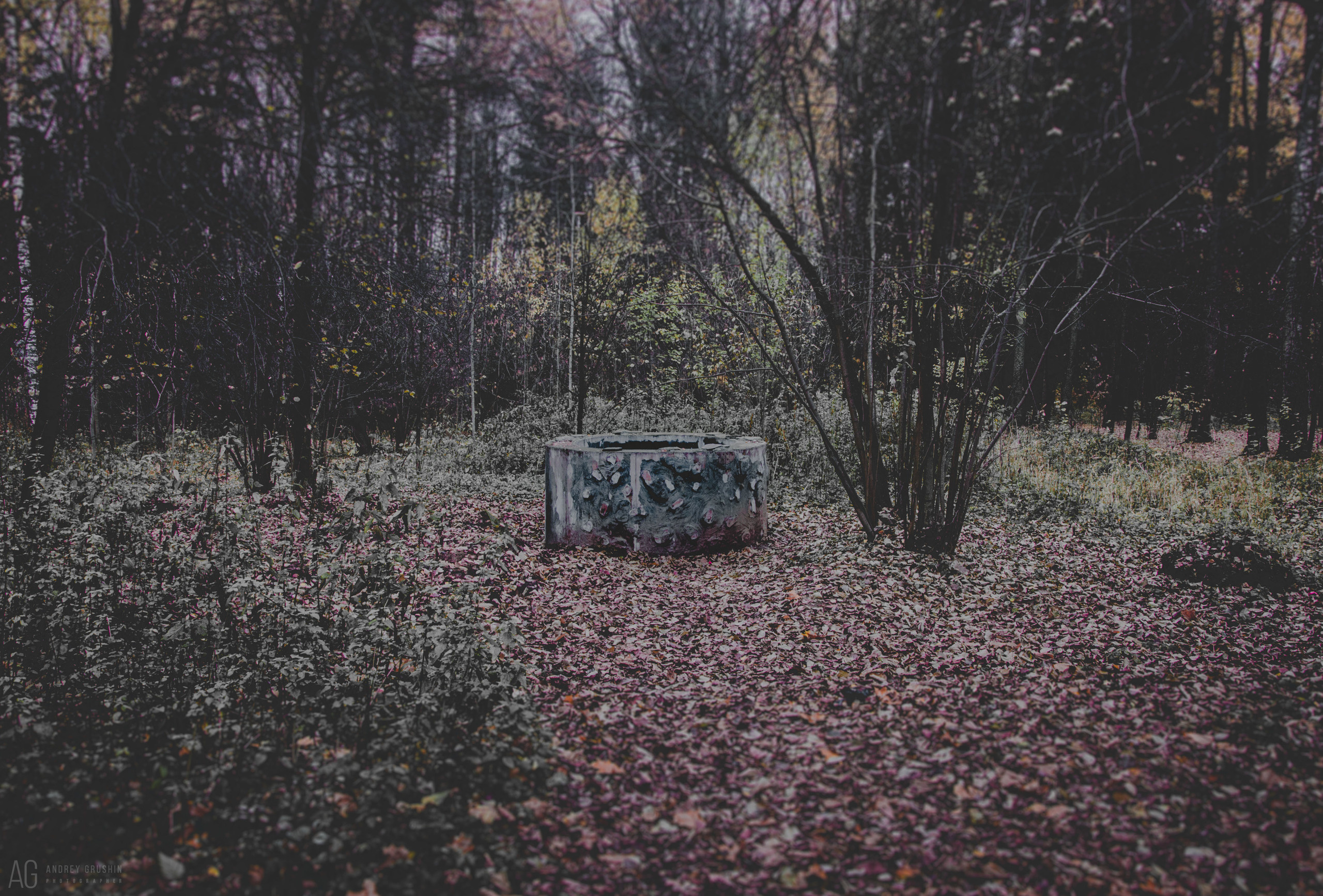 Середниково. Фотограф Андрей Грушин