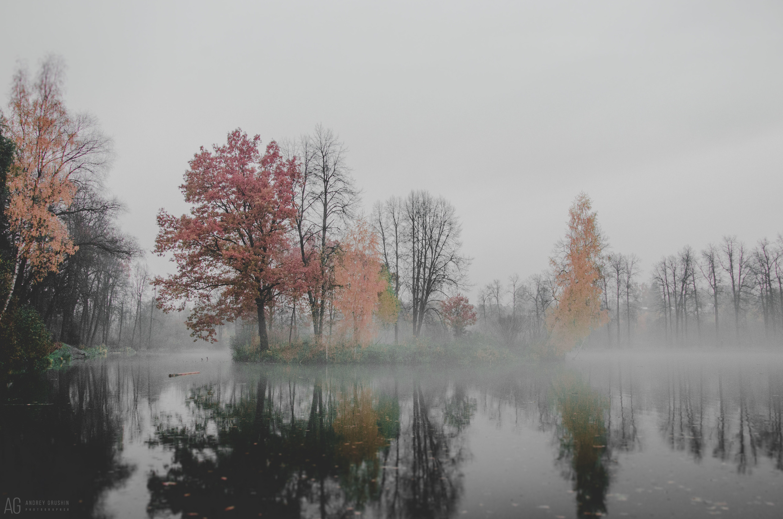 Середниково. Фотограф Андрей Грушин