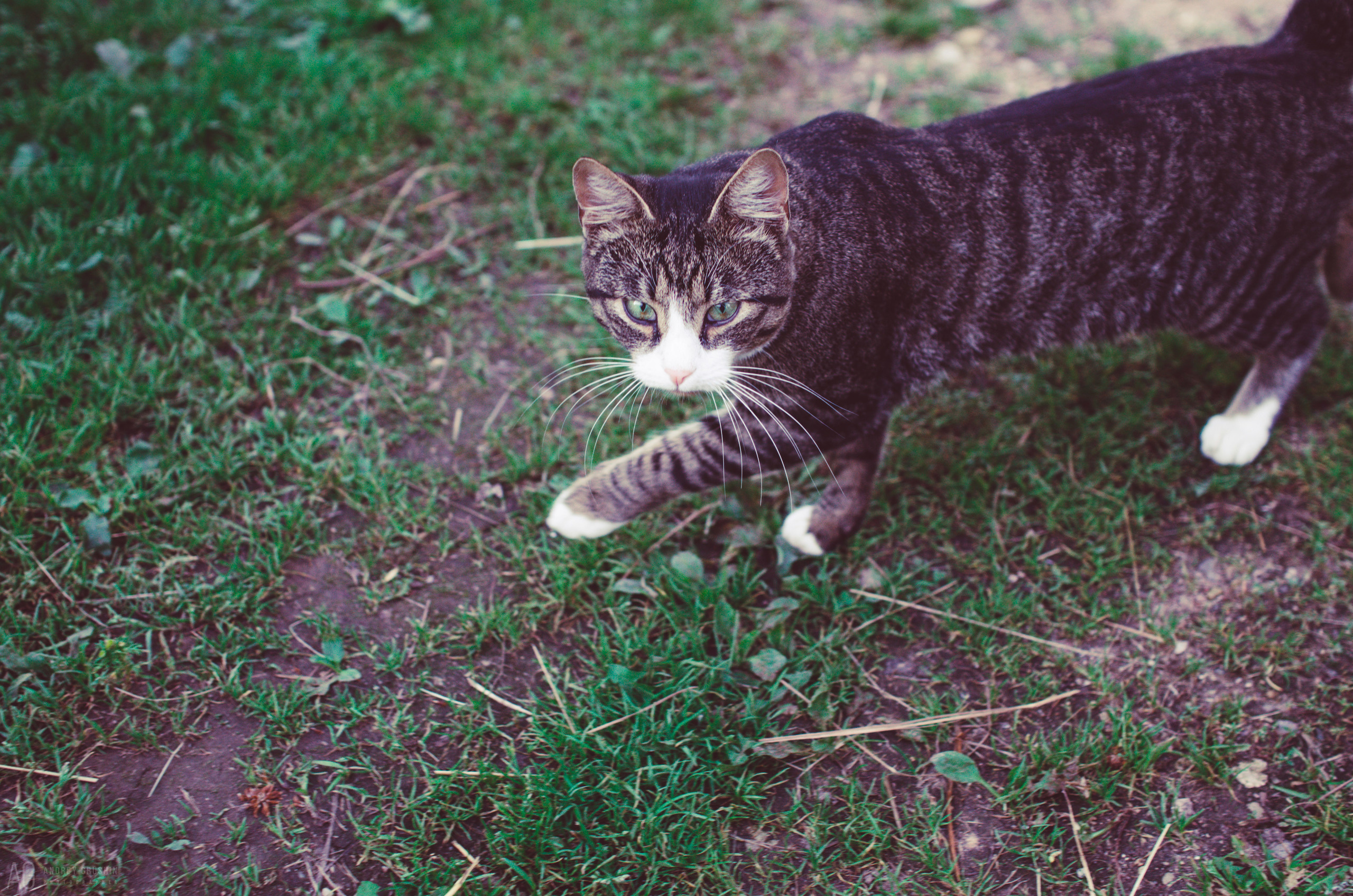 Далёкие берега. Фотограф Андрей Грушин