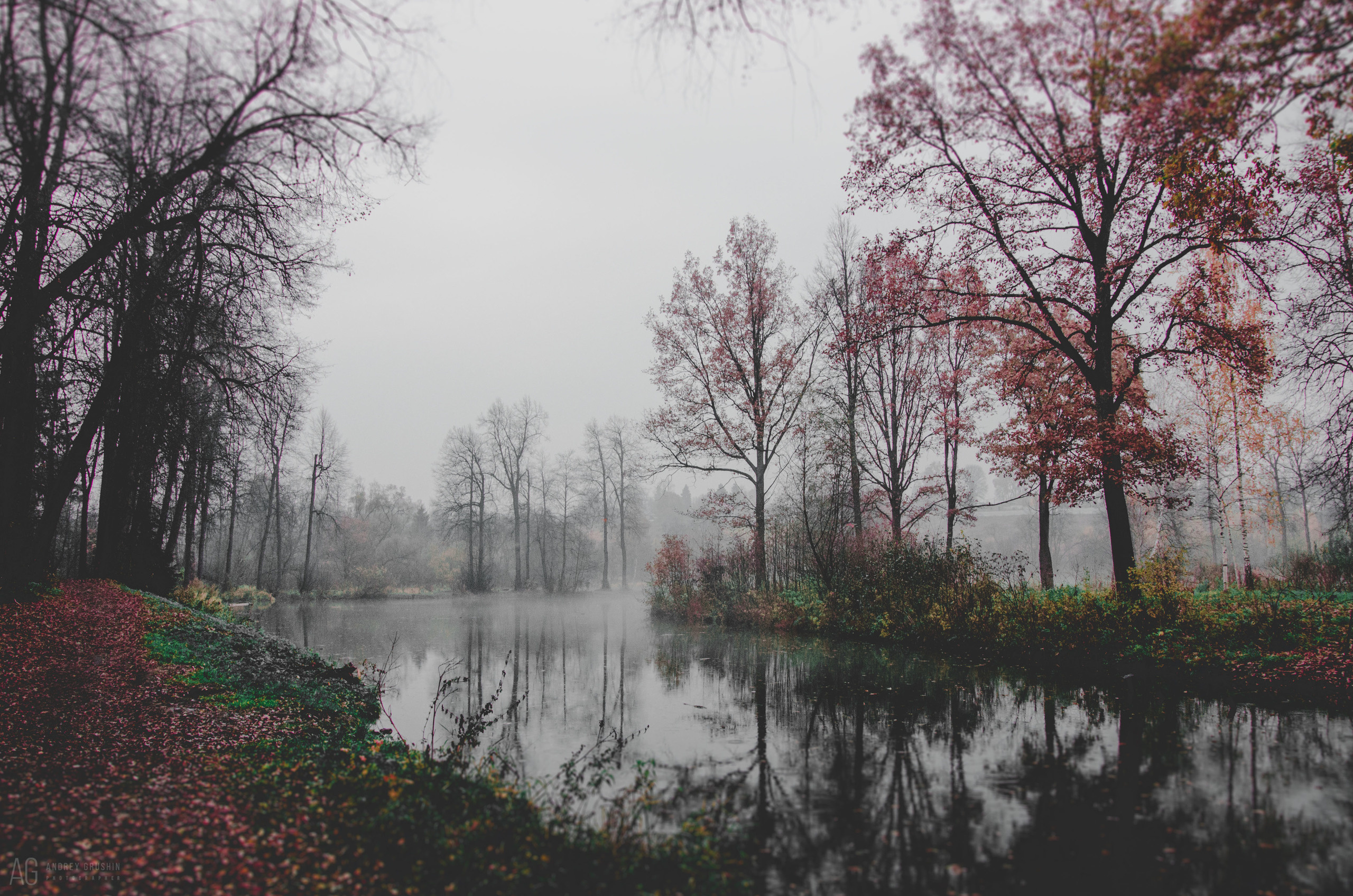 Середниково. Фотограф Андрей Грушин