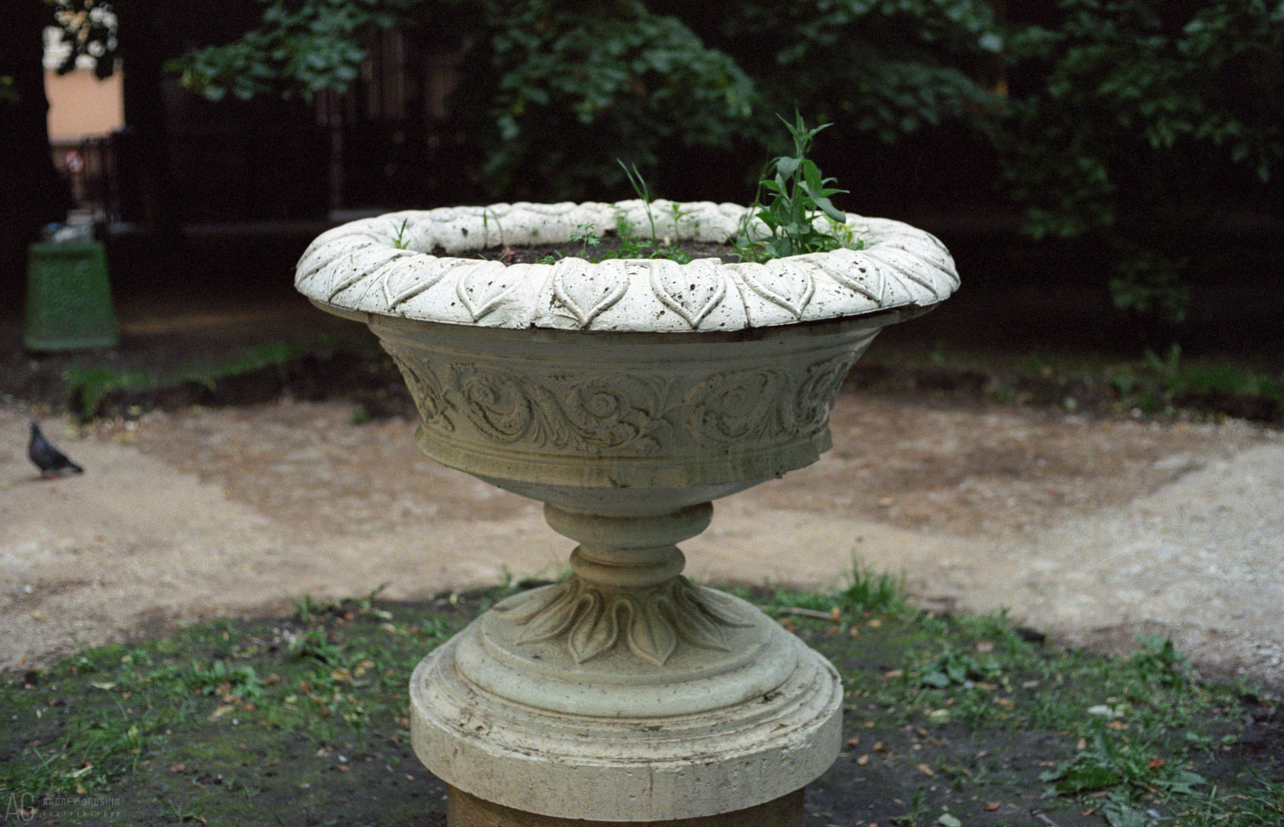 Москва. Фотограф Андрей Грушин