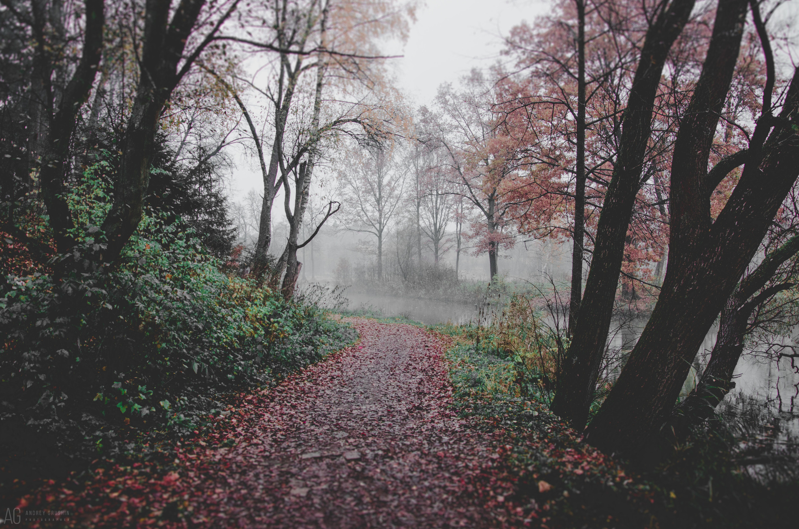 Середниково. Фотограф Андрей Грушин