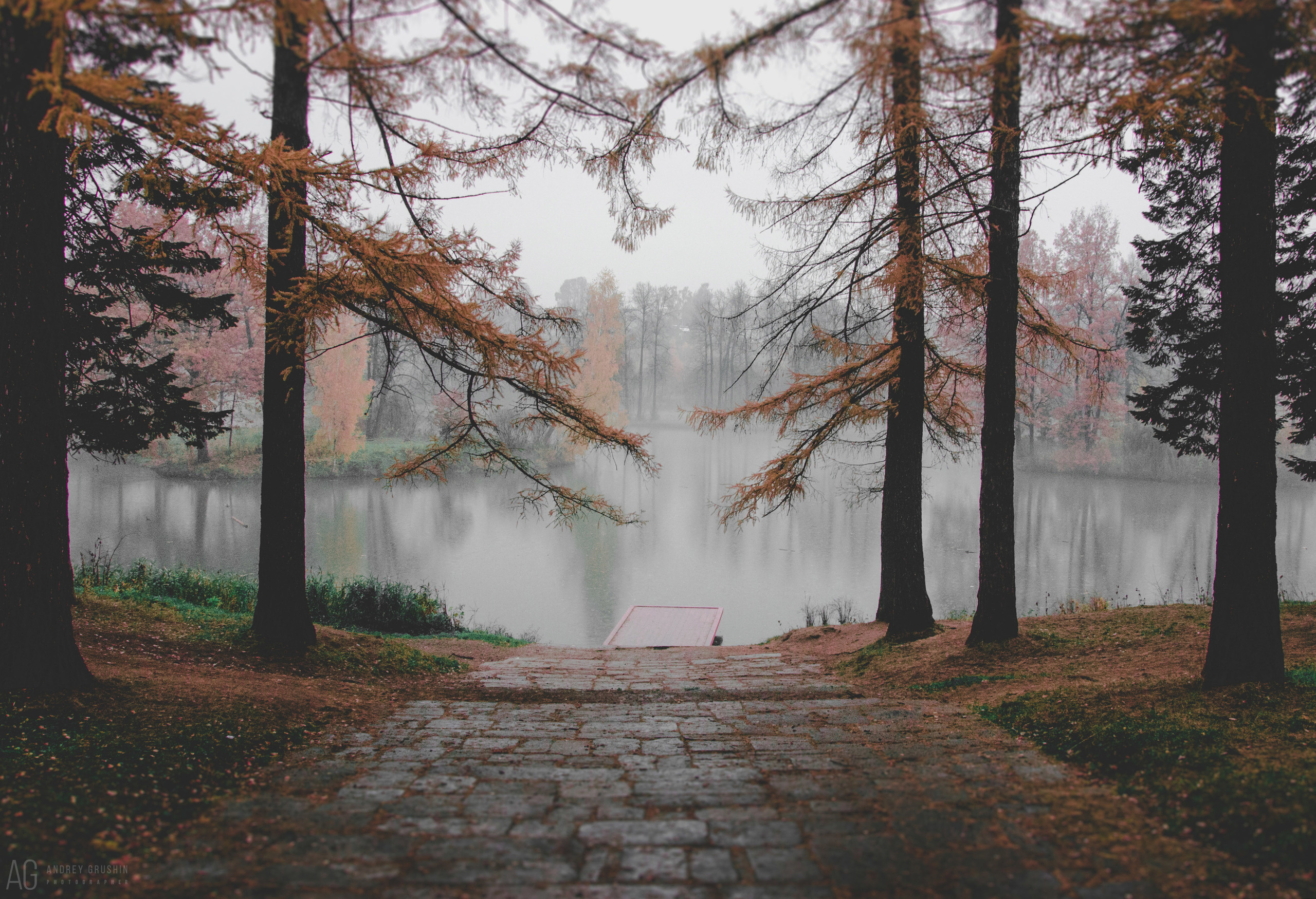Середниково. Фотограф Андрей Грушин