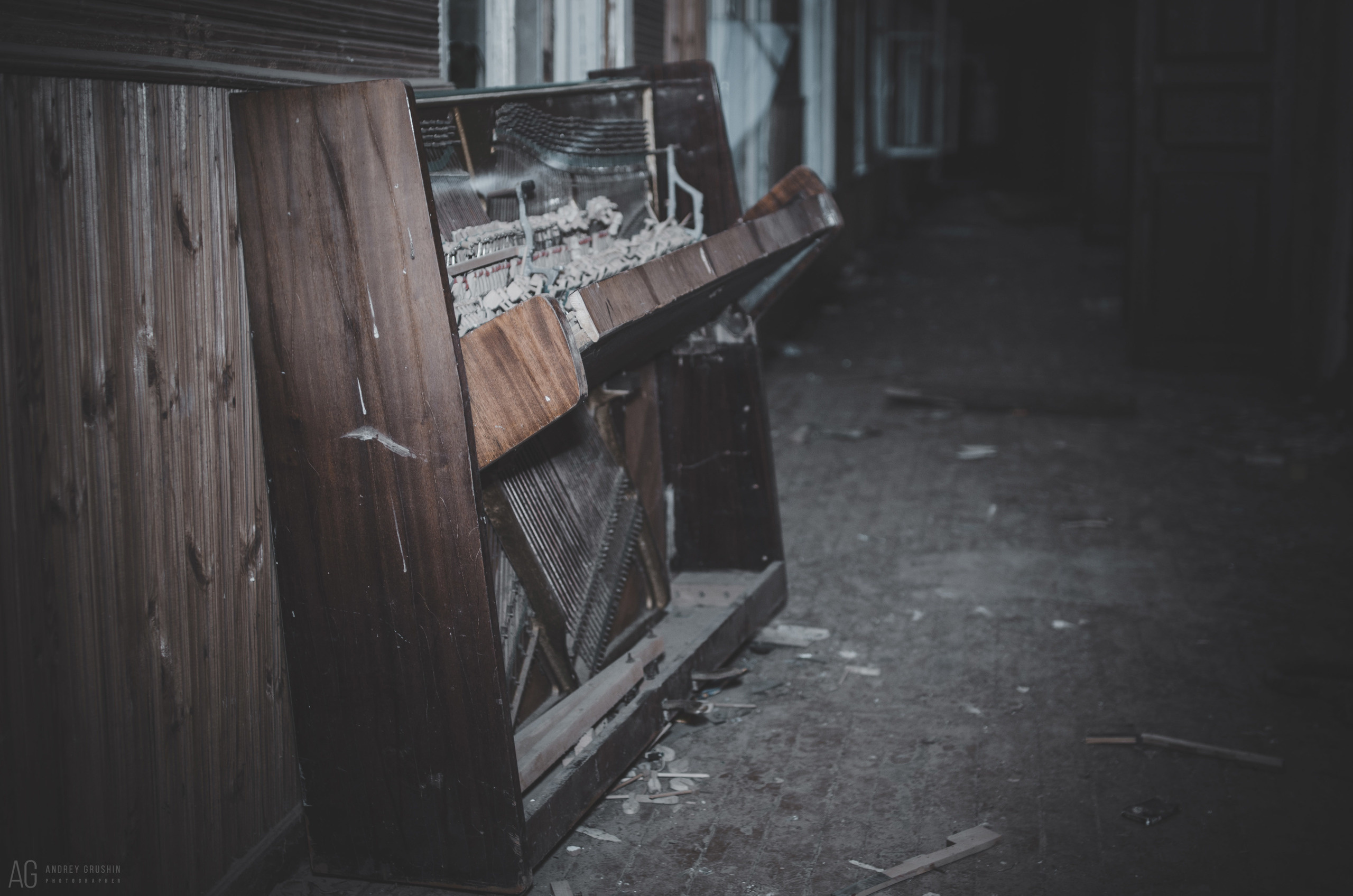 Далёкие берега. Фотограф Андрей Грушин