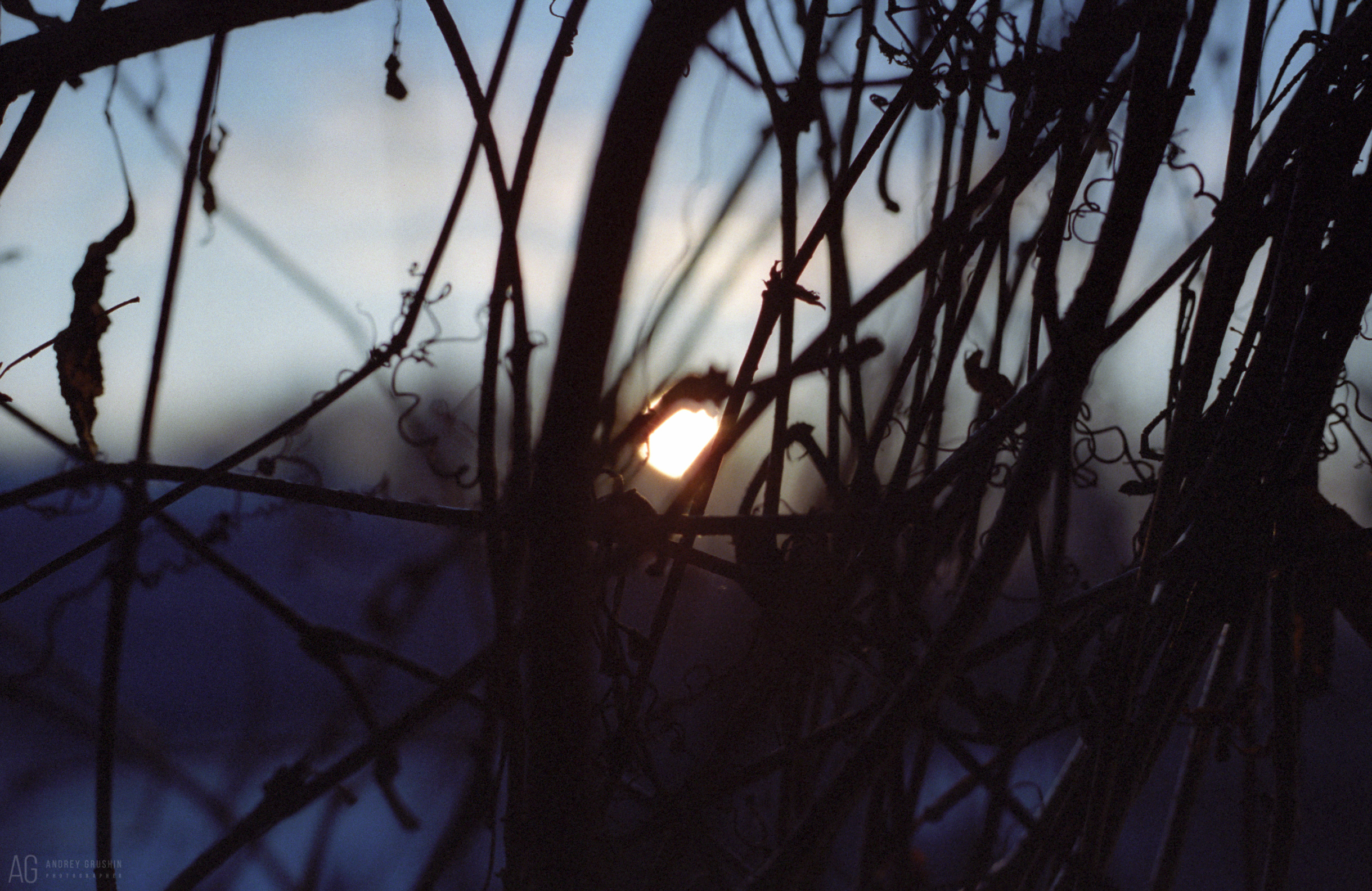 Поток времени. Фотограф Андрей Грушин