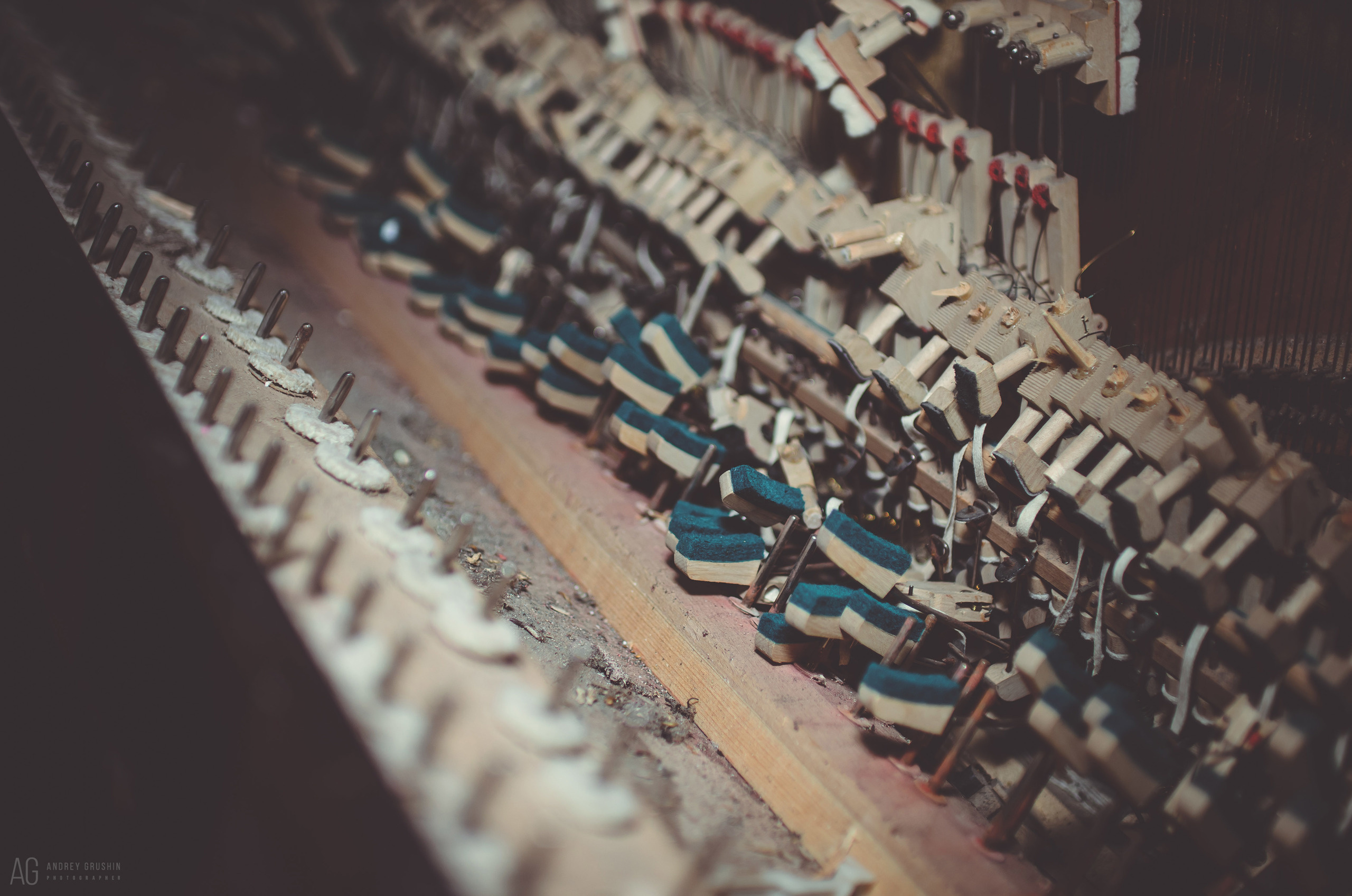 Далёкие берега. Фотограф Андрей Грушин