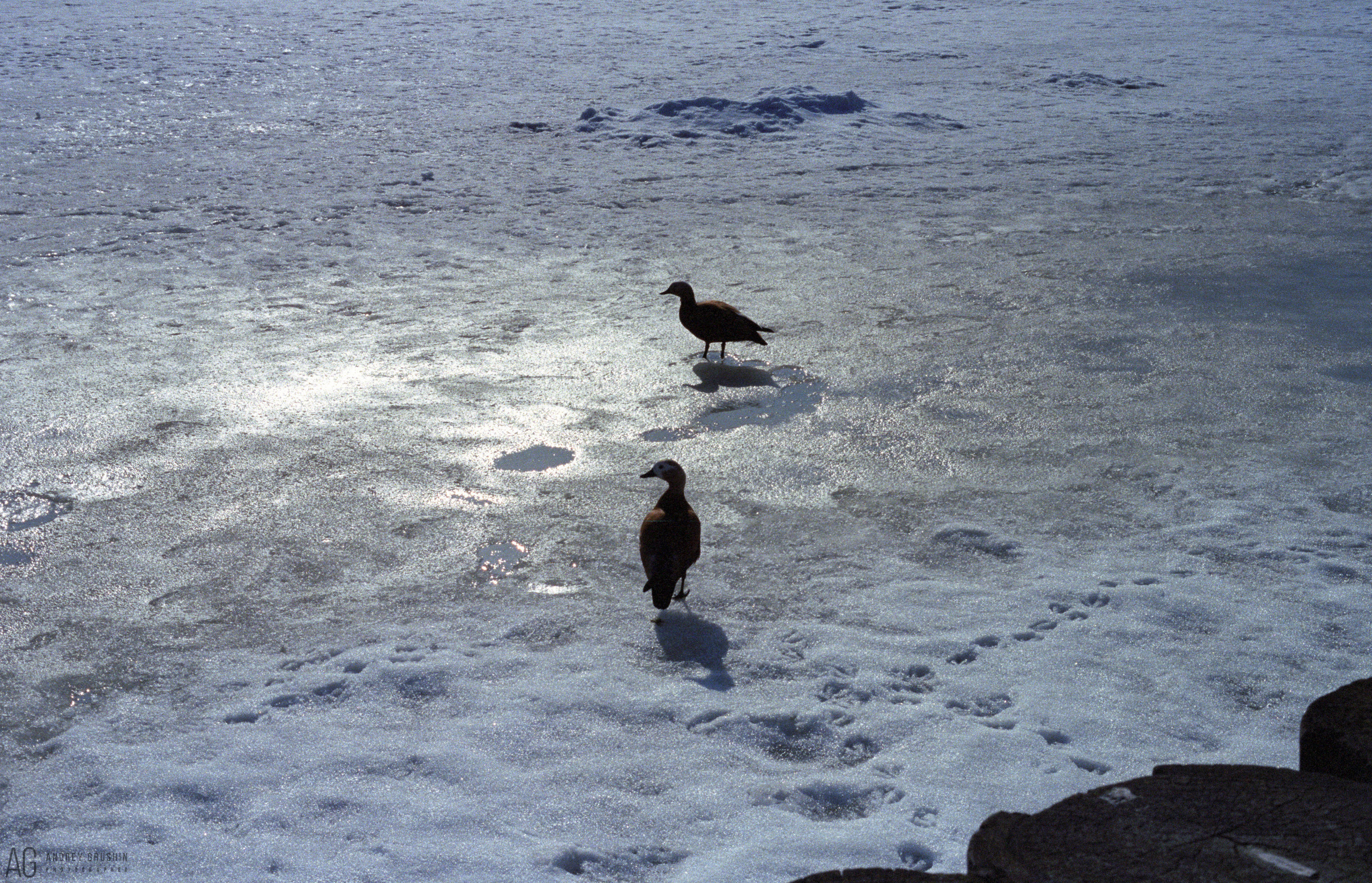 Москва. Фотограф Андрей Грушин