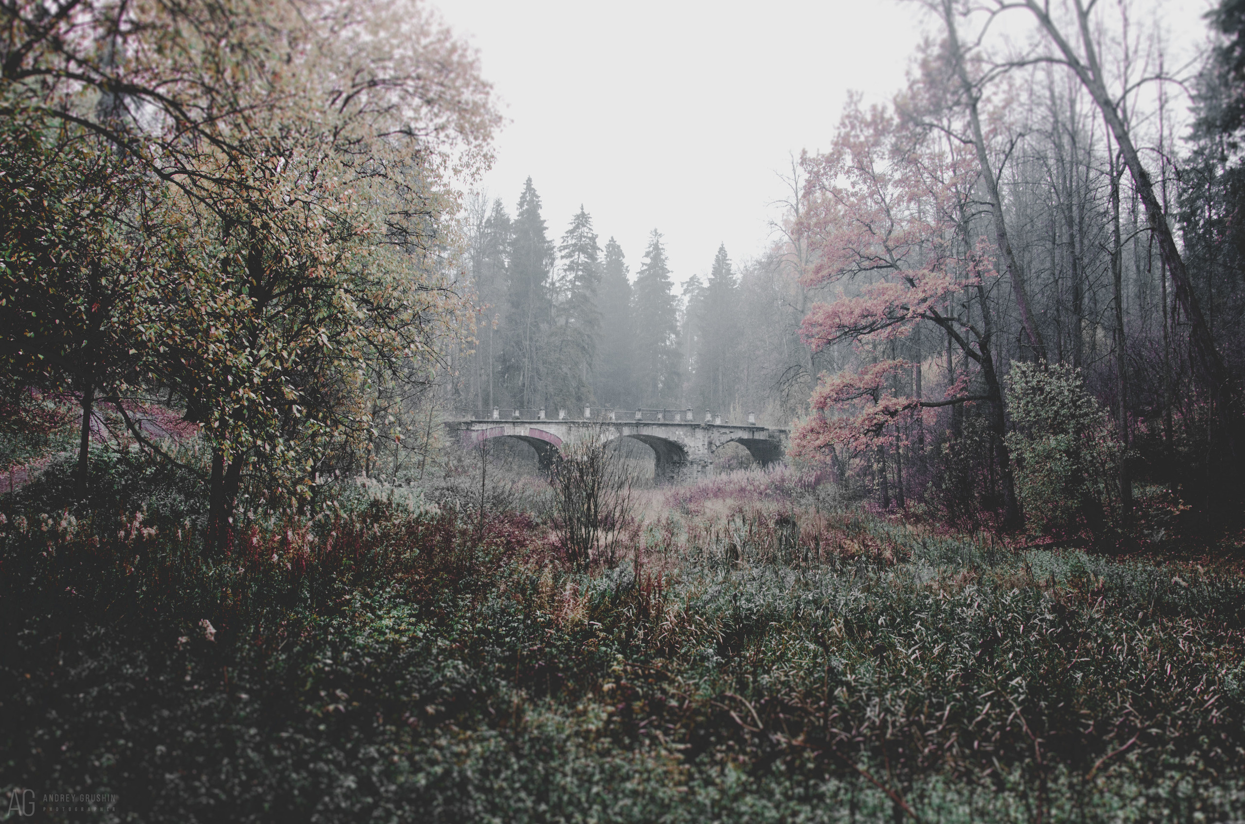 Середниково. Фотограф Андрей Грушин