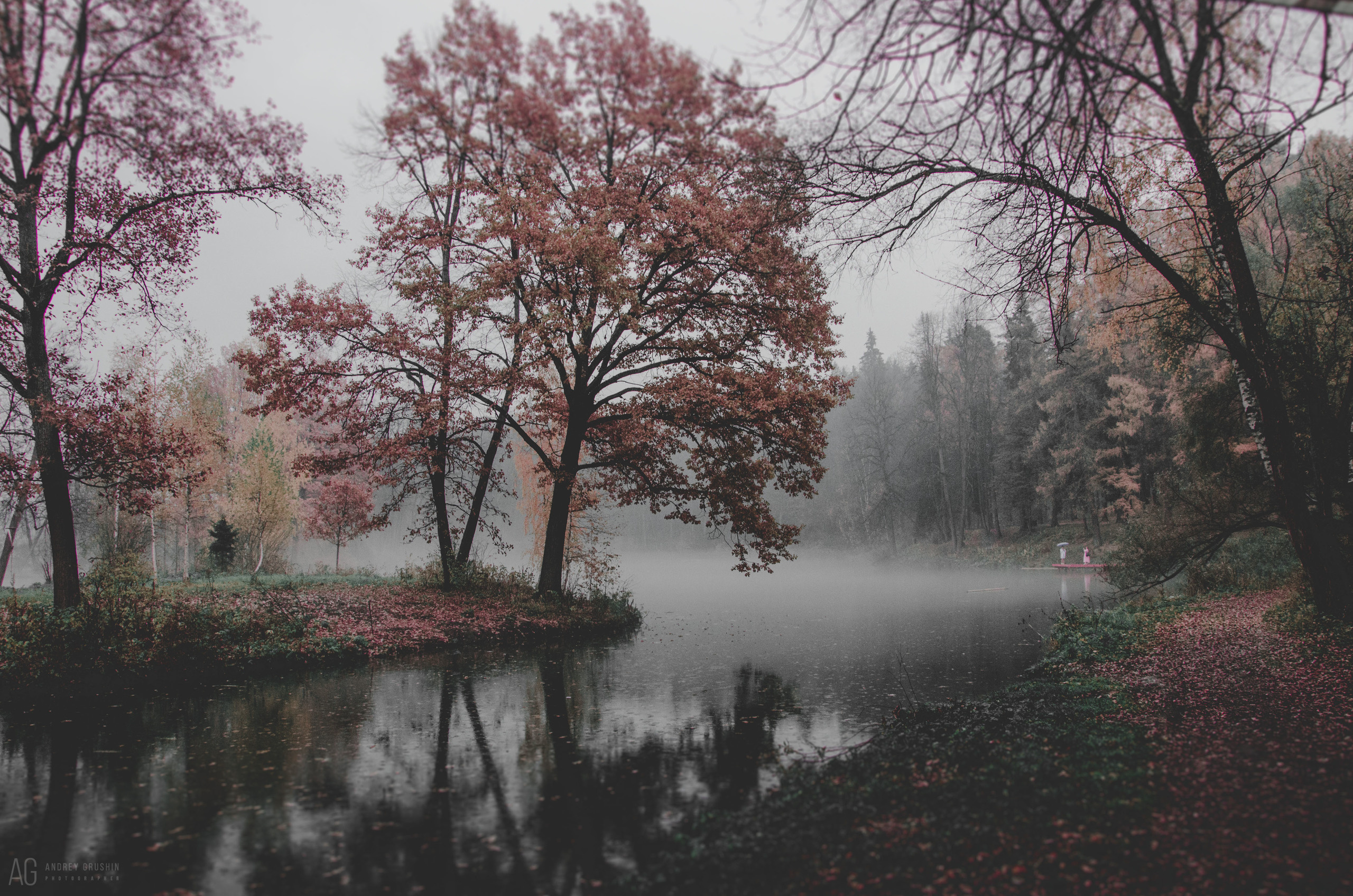 Середниково. Фотограф Андрей Грушин