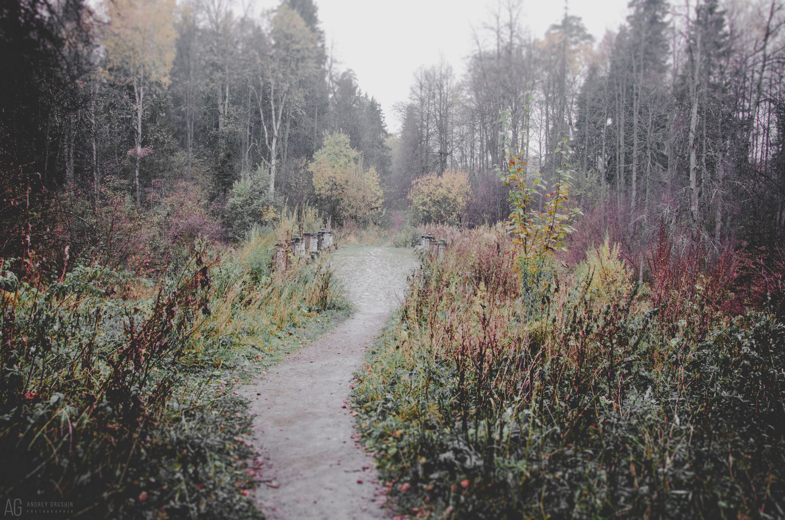 Середниково. Фотограф Андрей Грушин