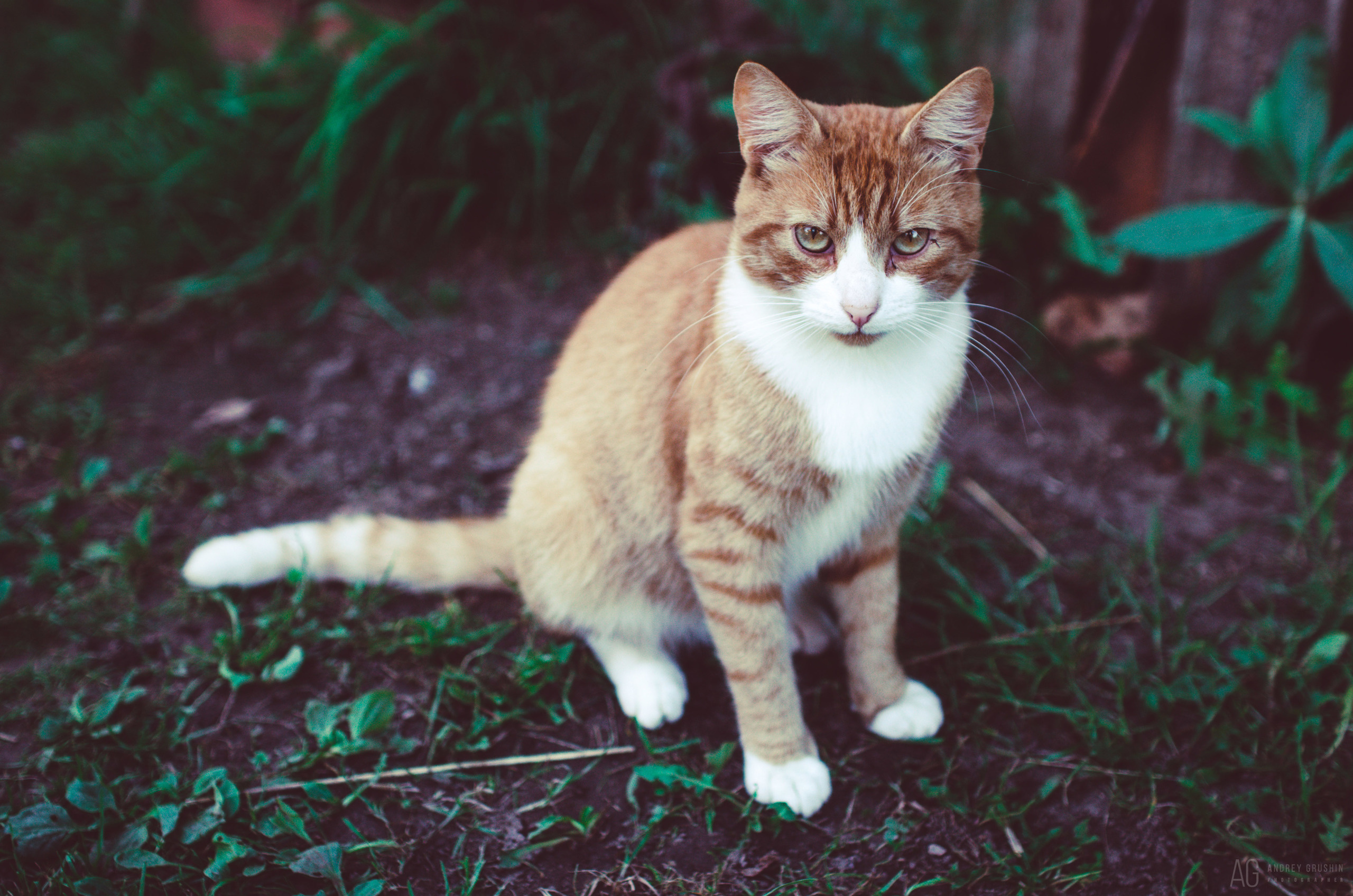Далёкие берега. Фотограф Андрей Грушин