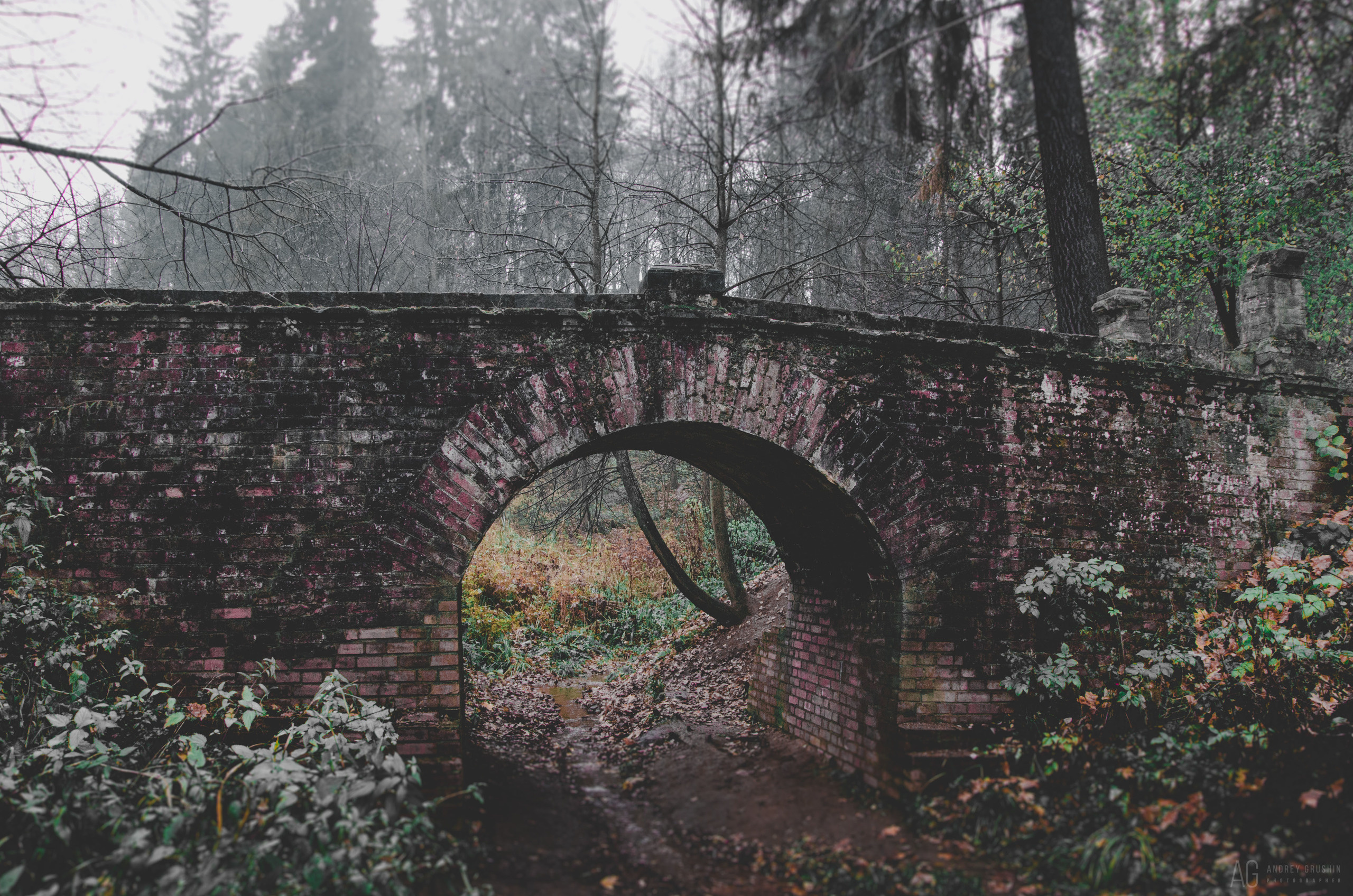 Середниково. Фотограф Андрей Грушин