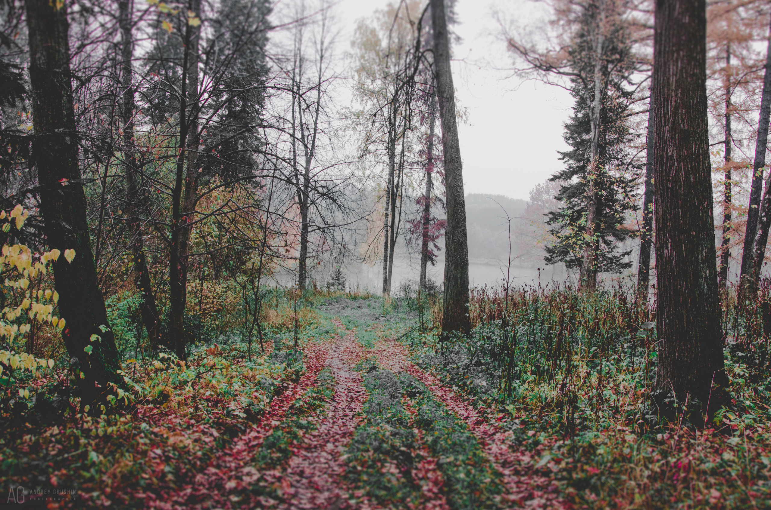 Середниково. Фотограф Андрей Грушин