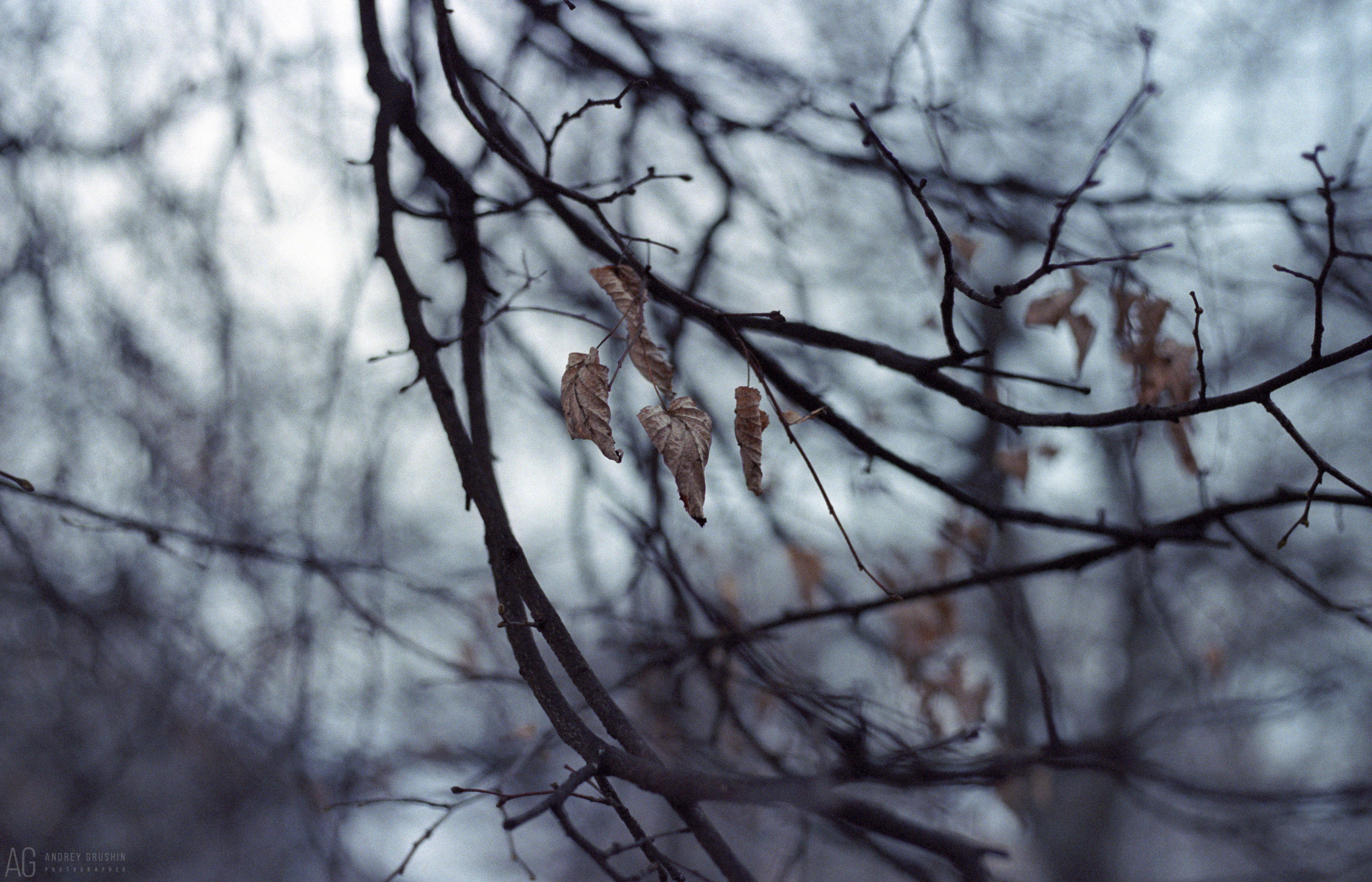 Москва. Фотограф Андрей Грушин