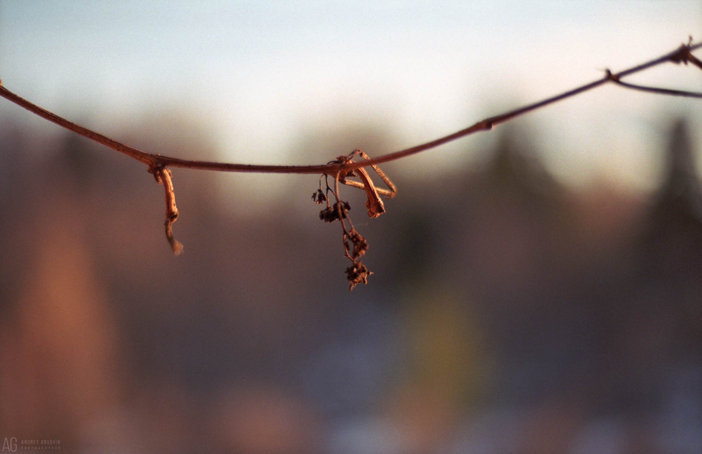 Поток времени. Фотограф Андрей Грушин