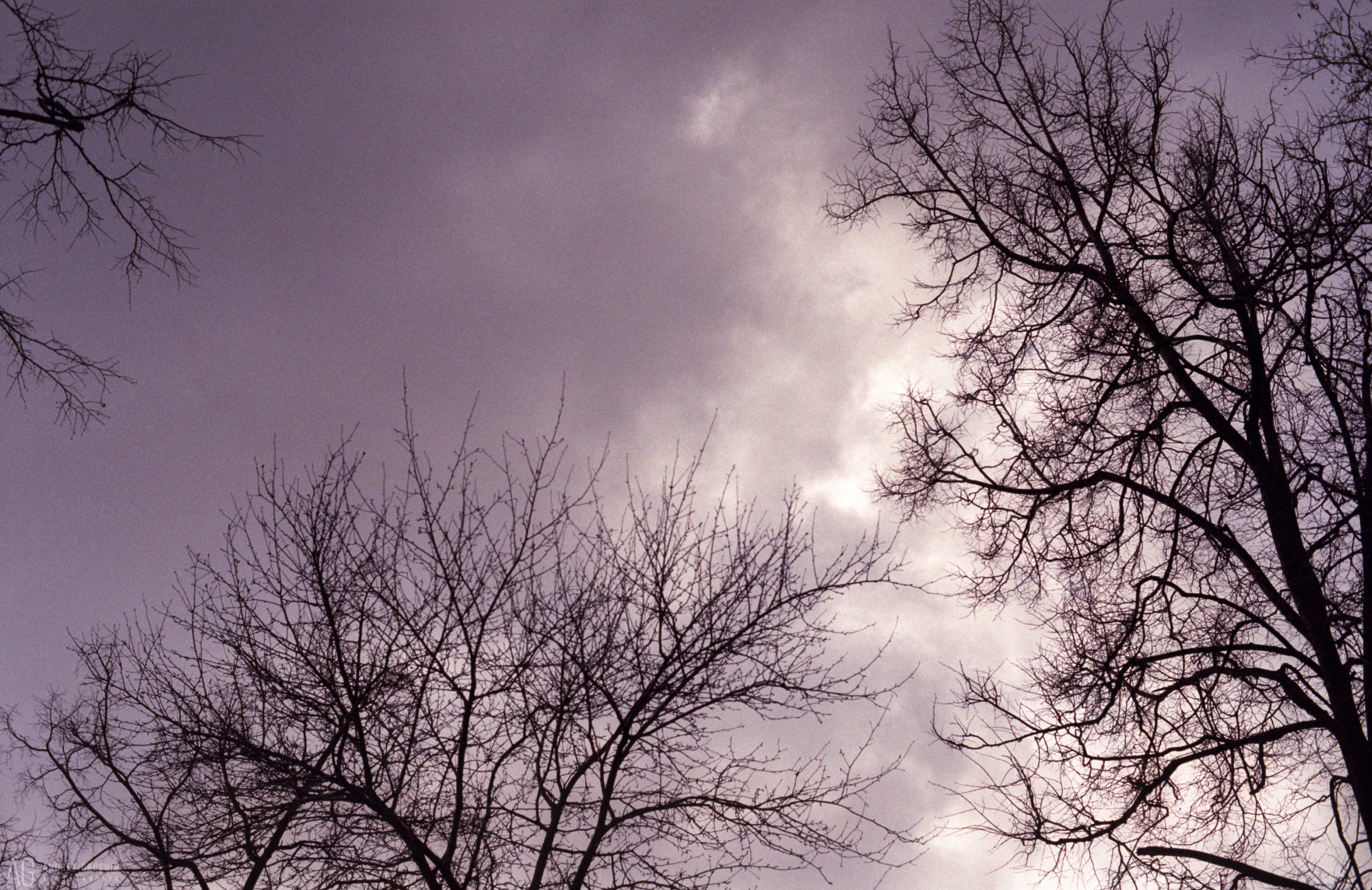 Поток времени. Фотограф Андрей Грушин