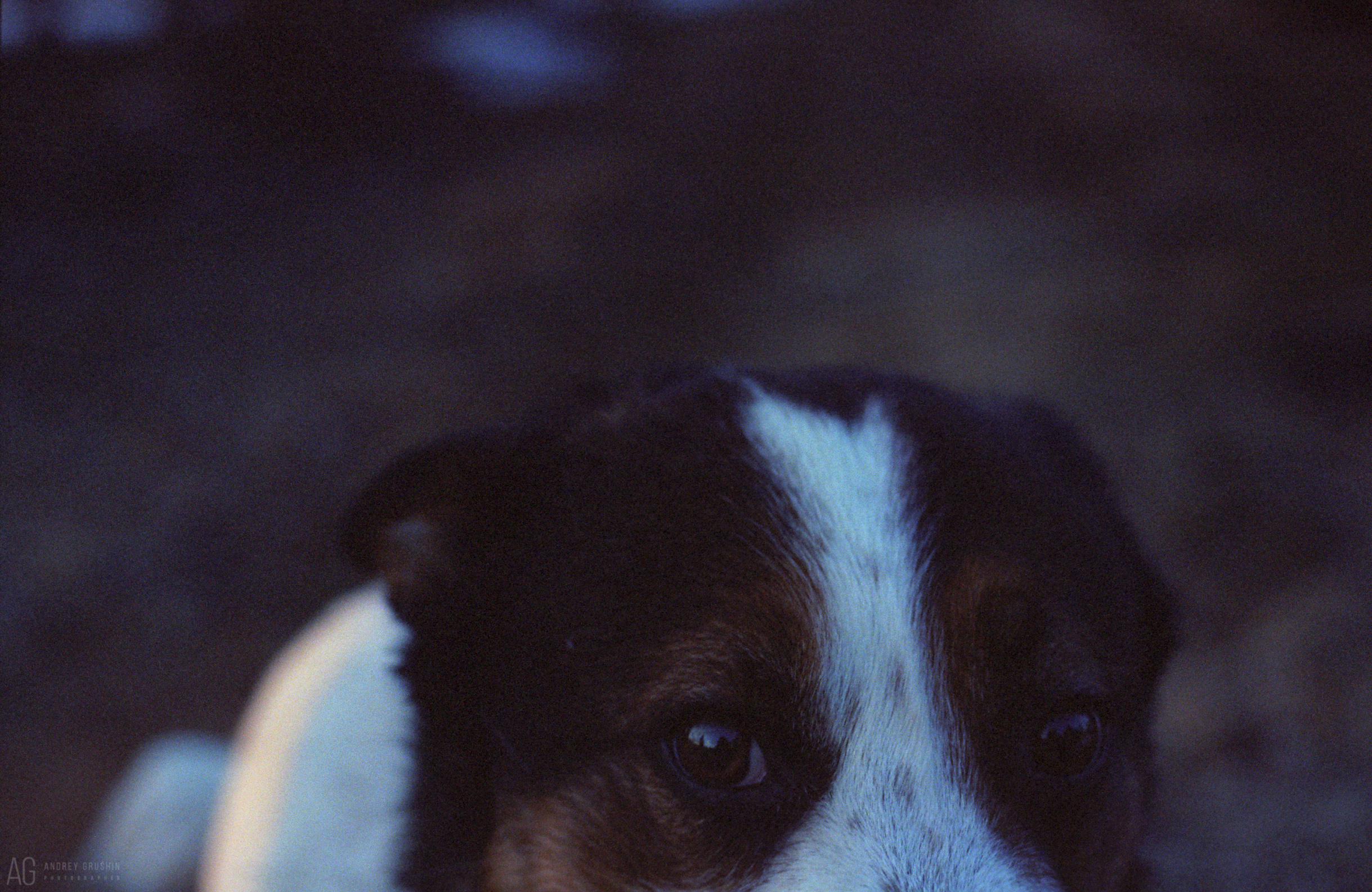 Поток времени. Фотограф Андрей Грушин