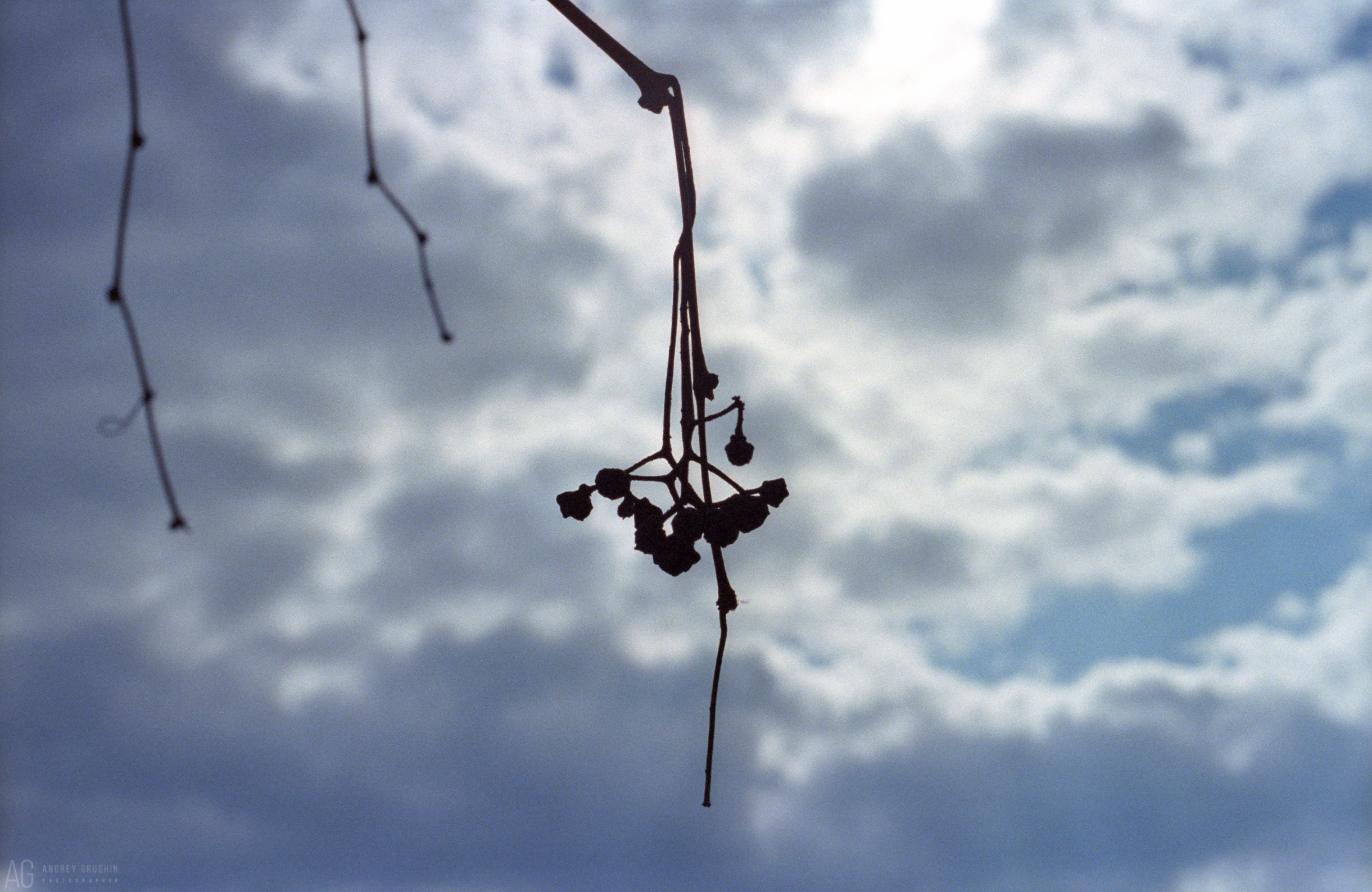Поток времени. Фотограф Андрей Грушин
