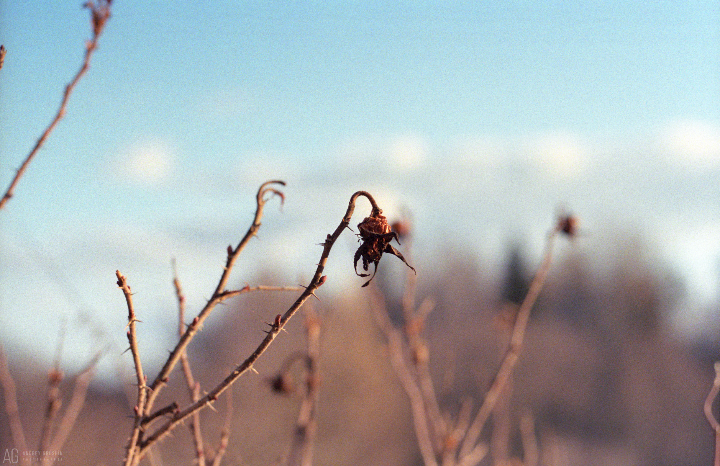 Поток времени. Фотограф Андрей Грушин