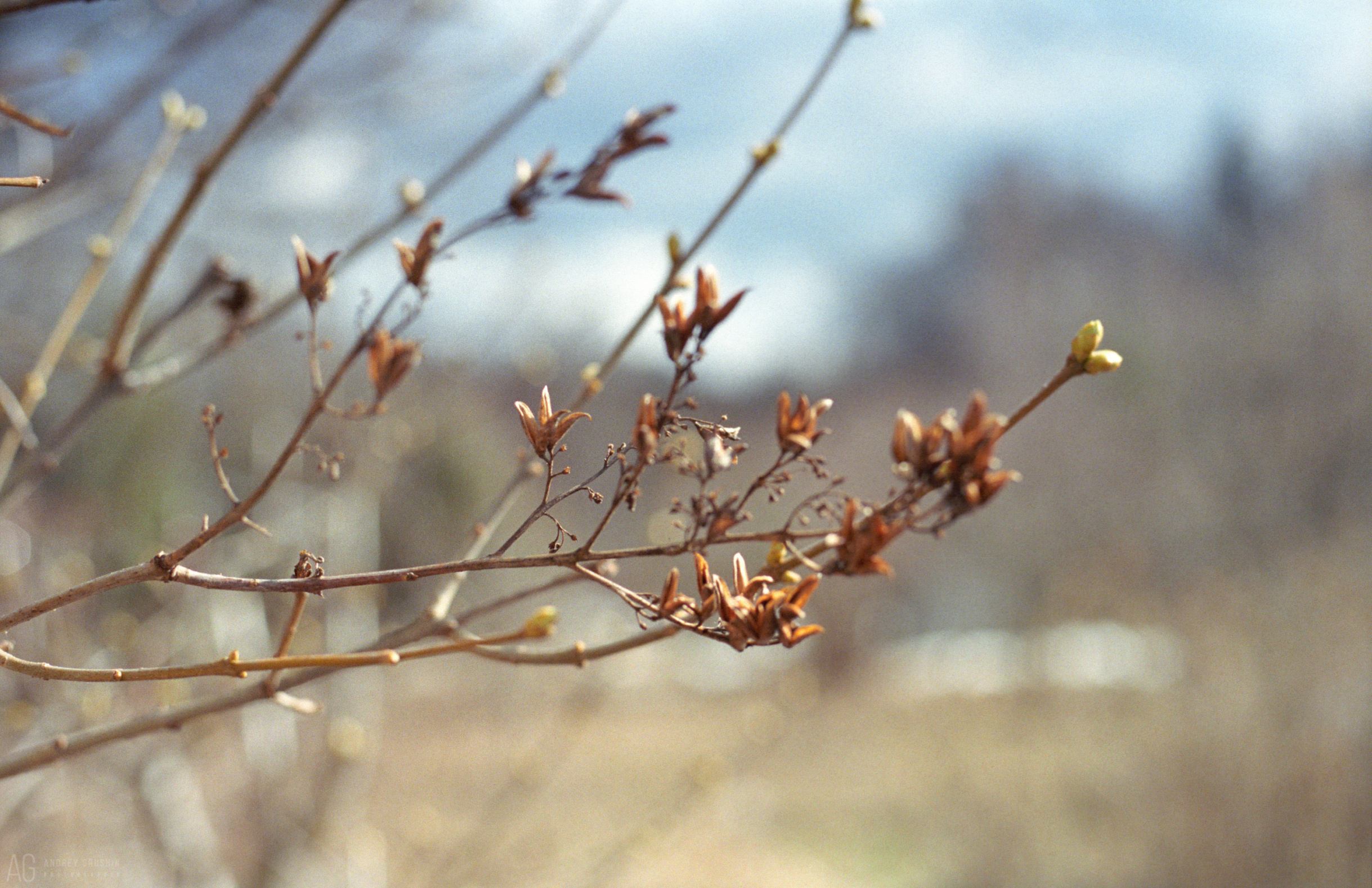 Поток времени. Фотограф Андрей Грушин