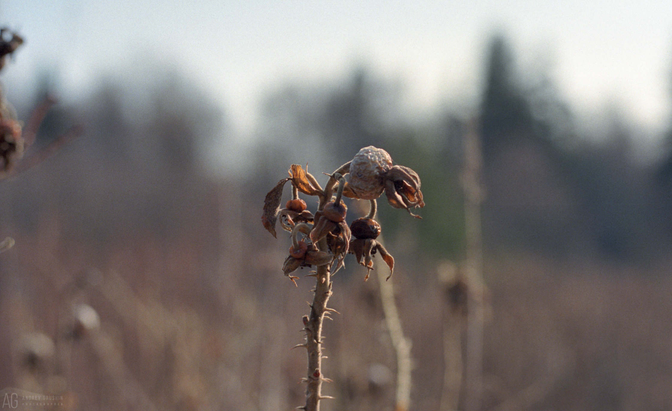 Поток времени. Фотограф Андрей Грушин