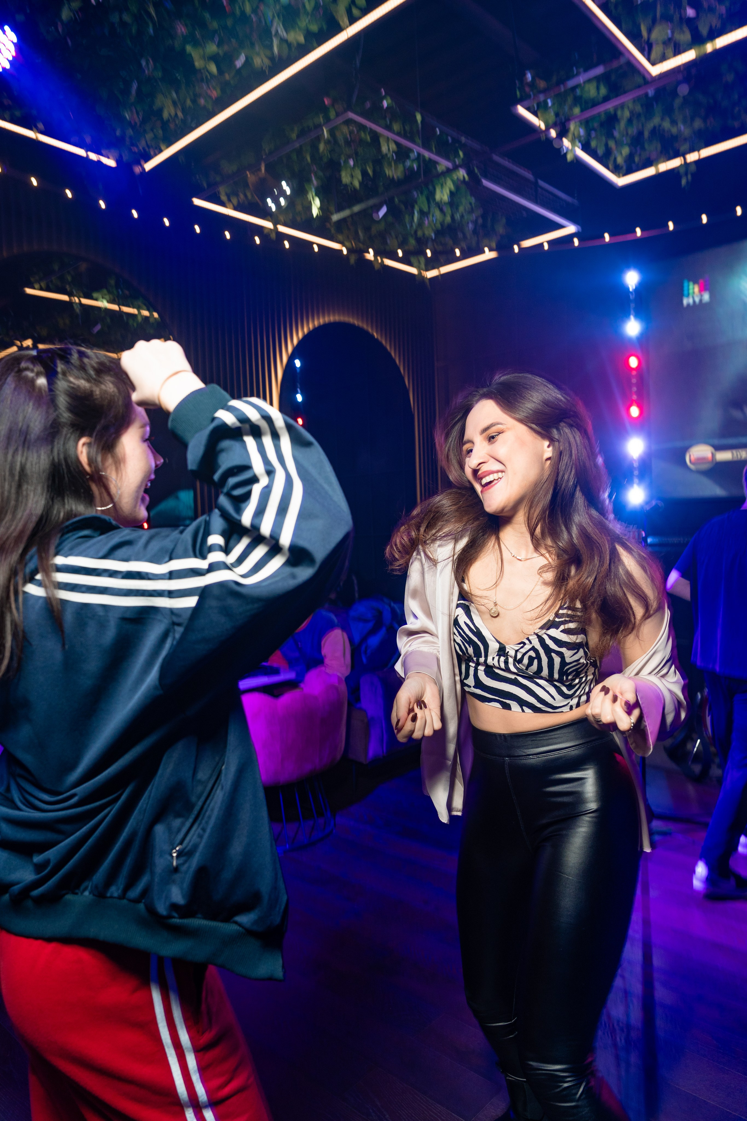 Мята Platinum Атлантис. Фотограф Никита Комаров