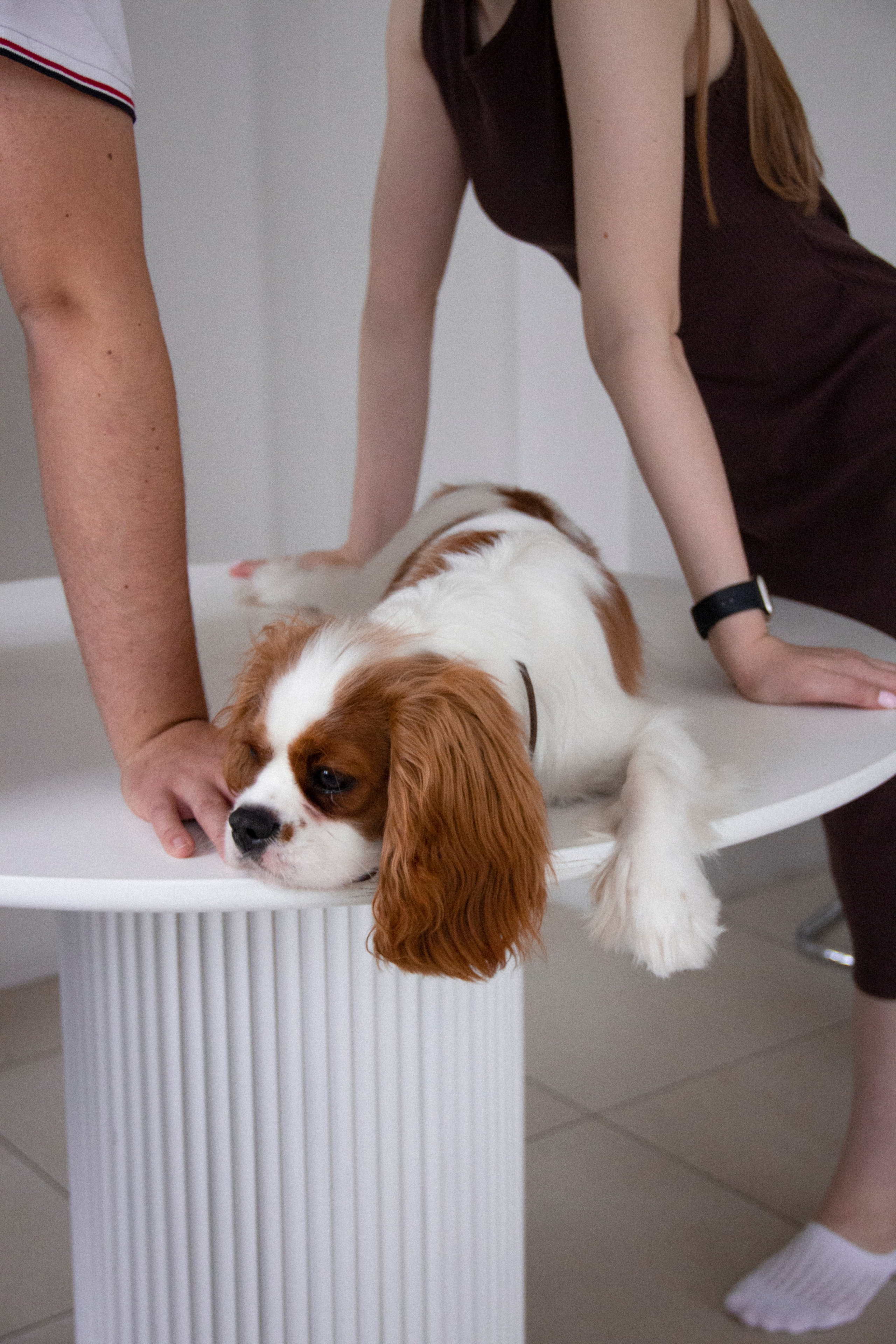 Валерия и Алексей. Фотограф в Санкт-Петербурге Смирнова Диана