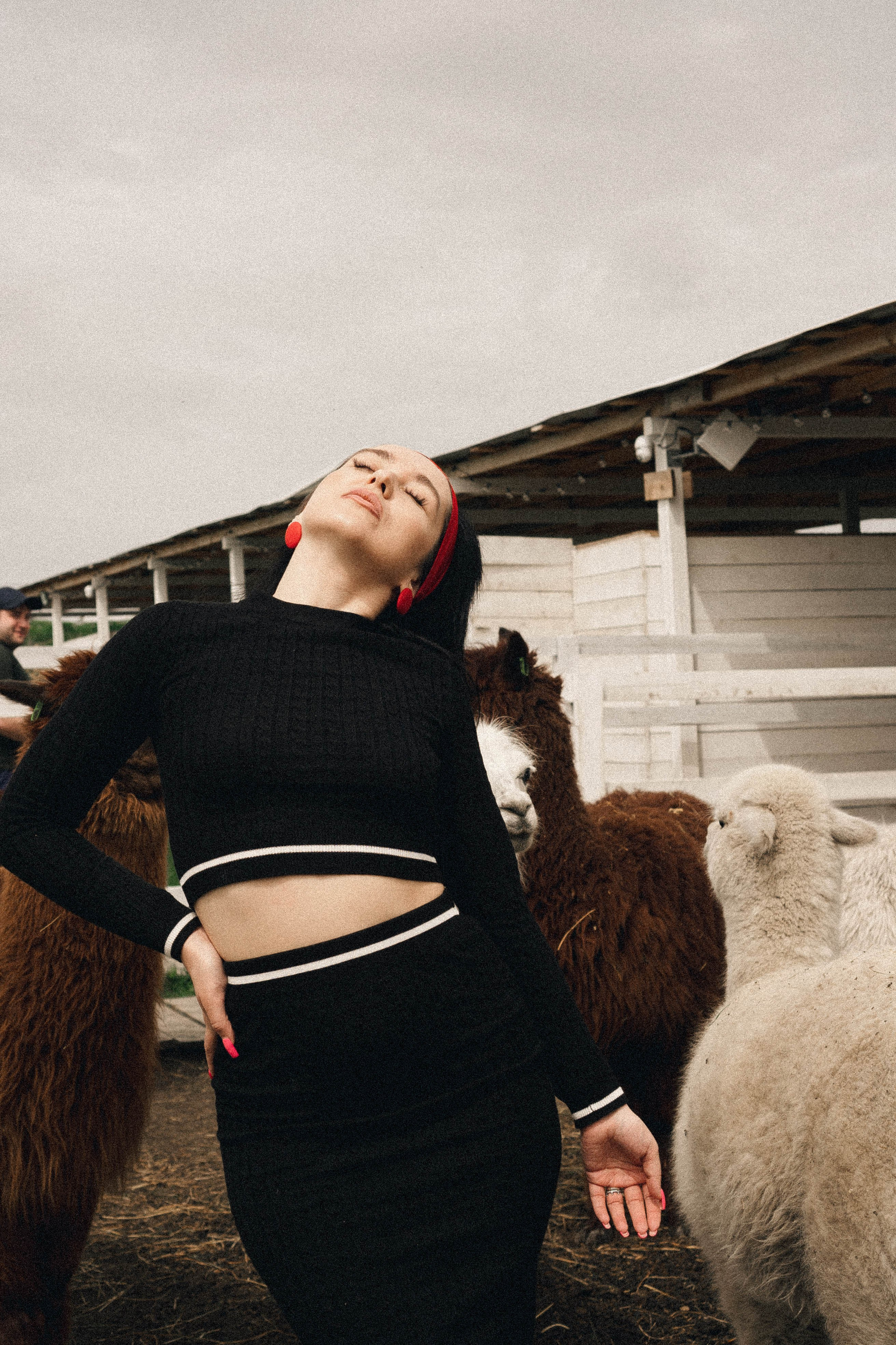 Ферма Альпак. Профессиональный фотограф, Санкт-Петербург — Виктория Богомолова